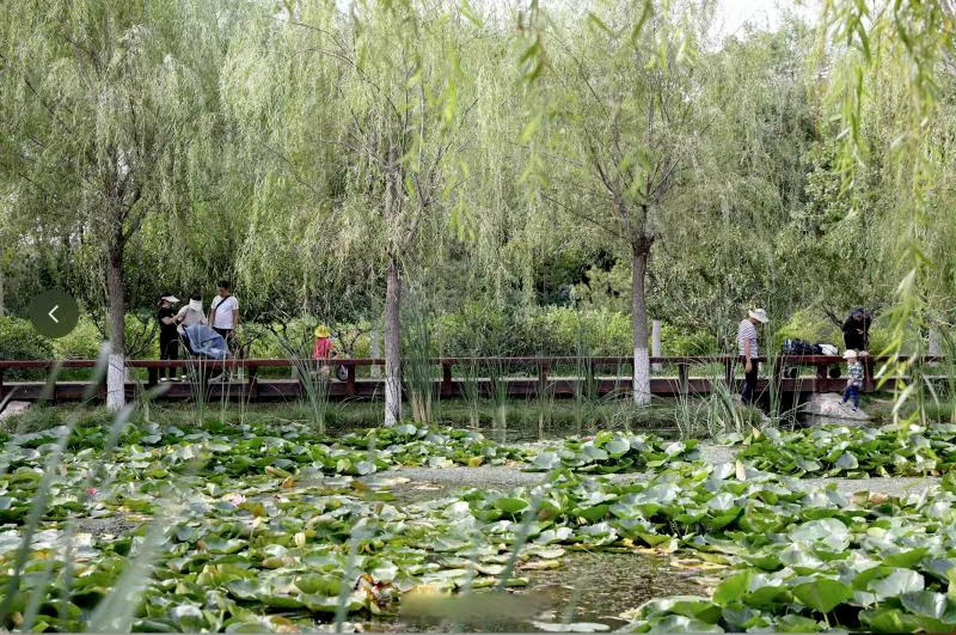 【今迎第十个"北京湿地日" 全市湿地面积已达6.