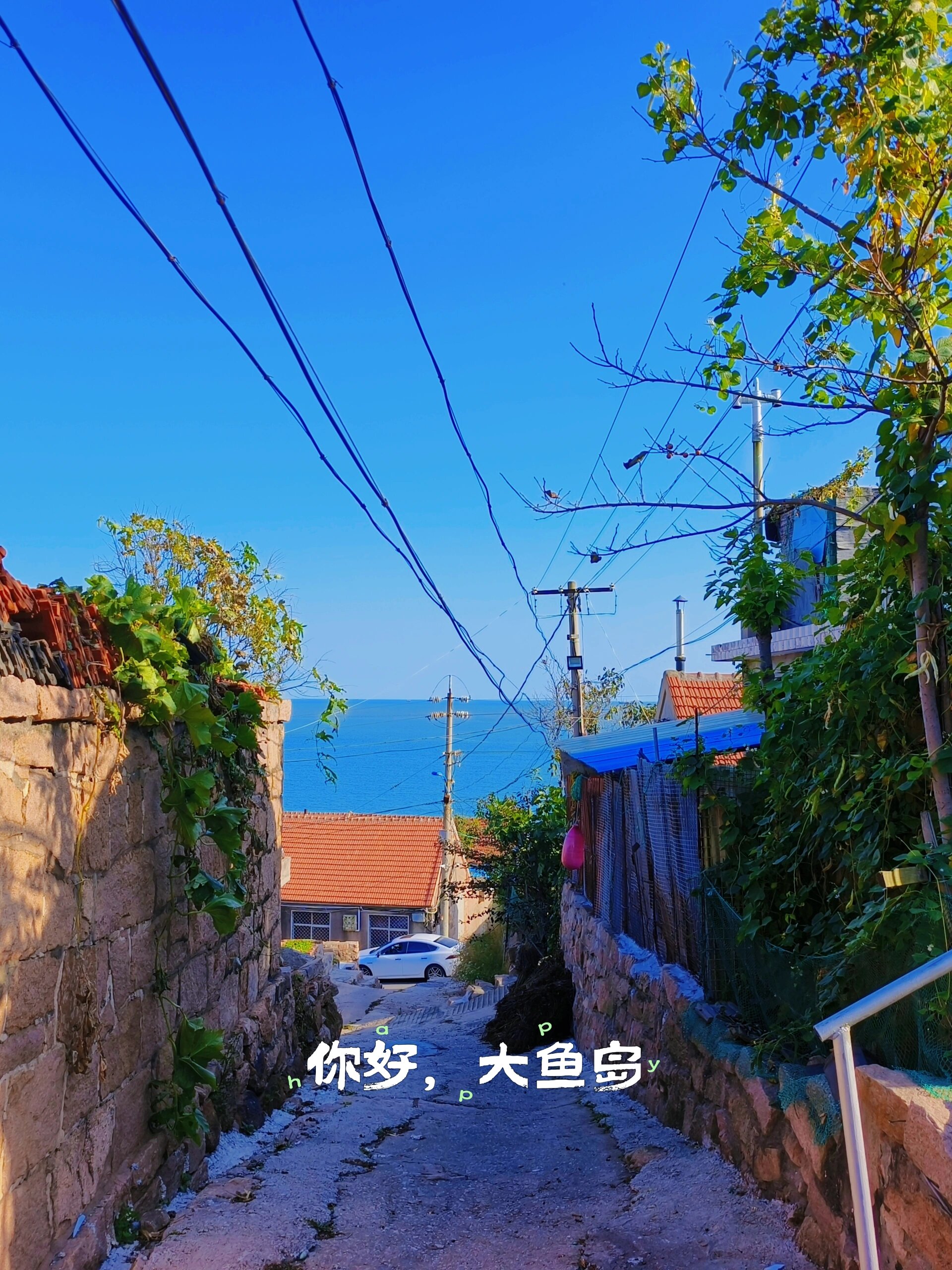 石岛大鱼岛初体验   外地人来荣成开民宿一直好奇想去的地方不是那