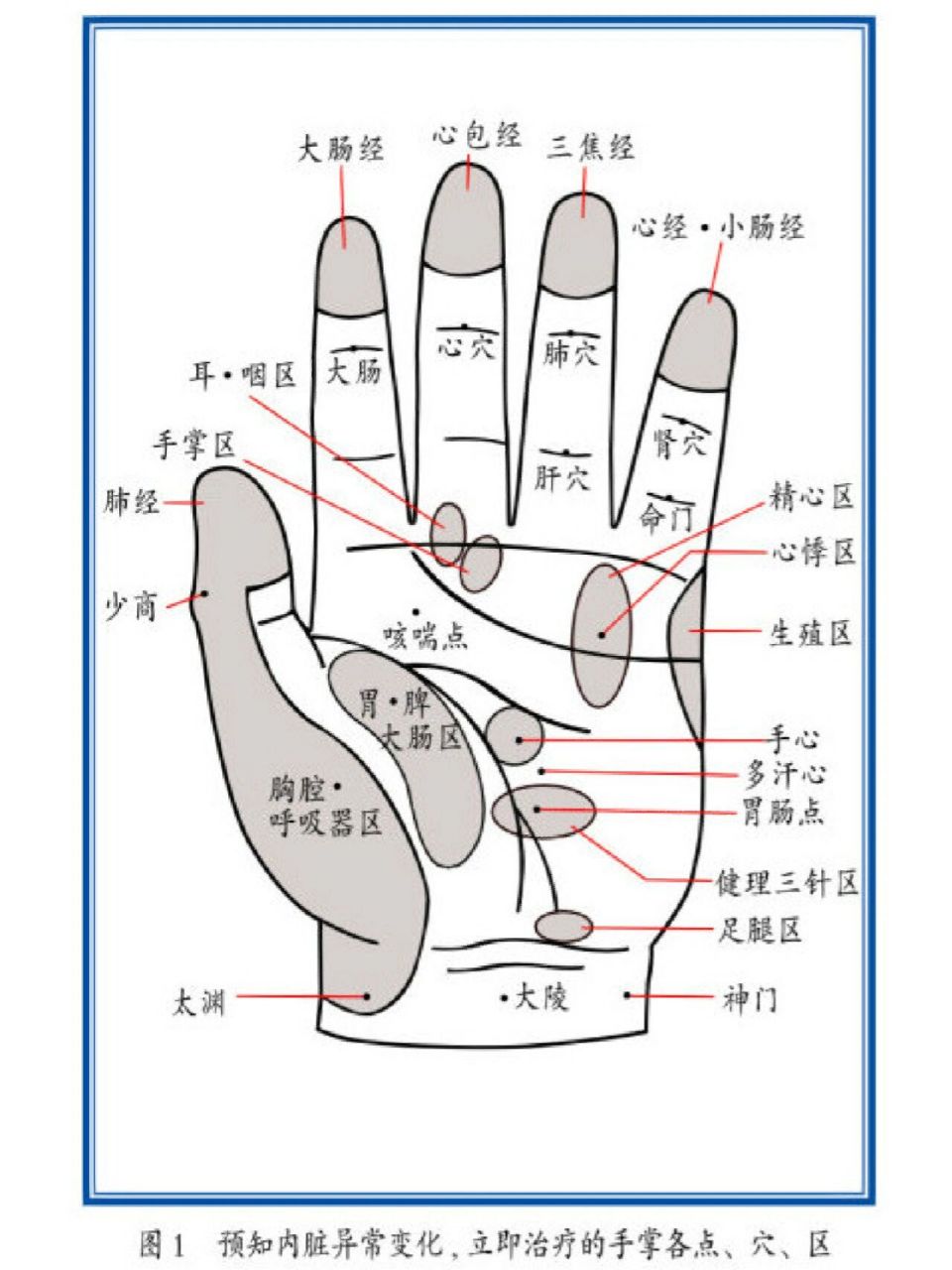 手掌区域划分