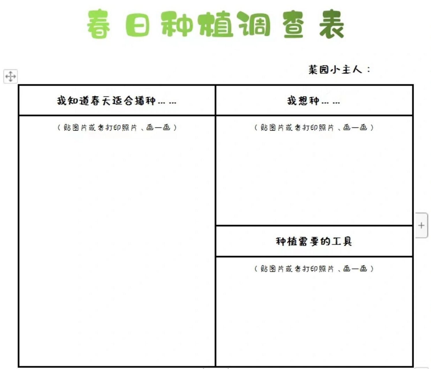 春天调查表图片植物图片