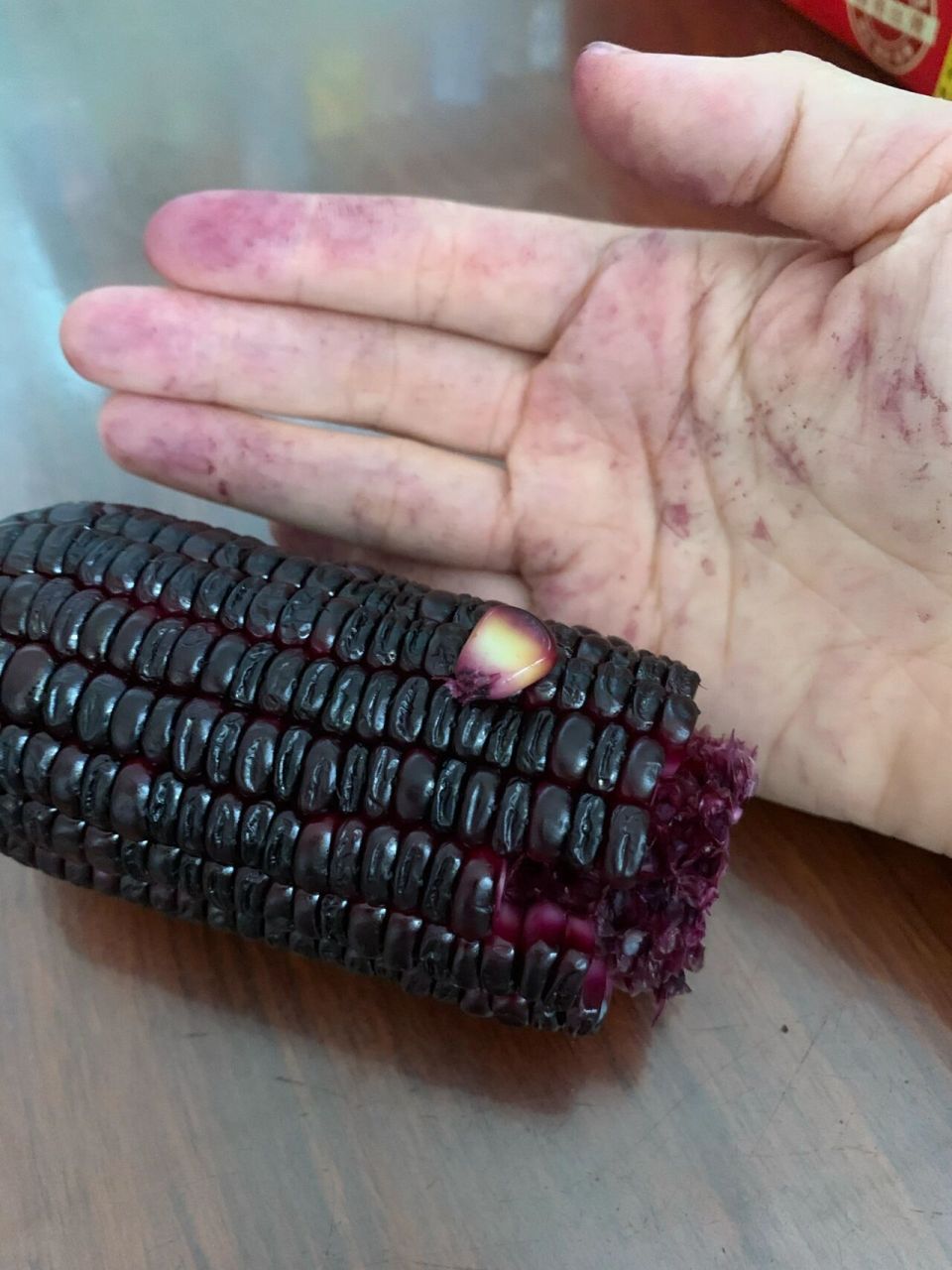 第一次吃紫玉米,煮熟剥开玉米一双手是紫色的还洗不掉,这是正常的紫