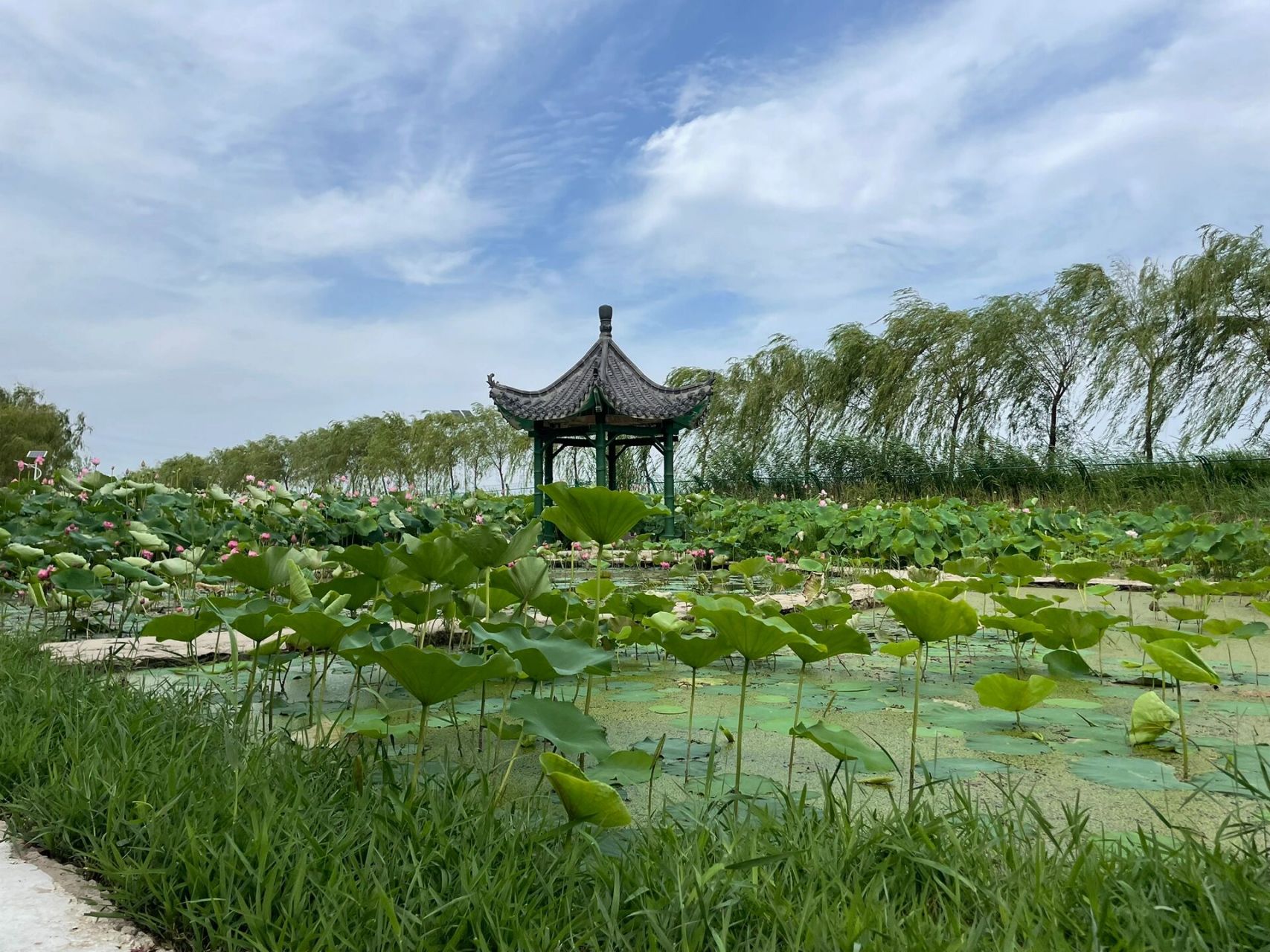 聊城哪里有玩的地方 广东人到聊城半个月了,去了东昌湖,南湖公园,光岳