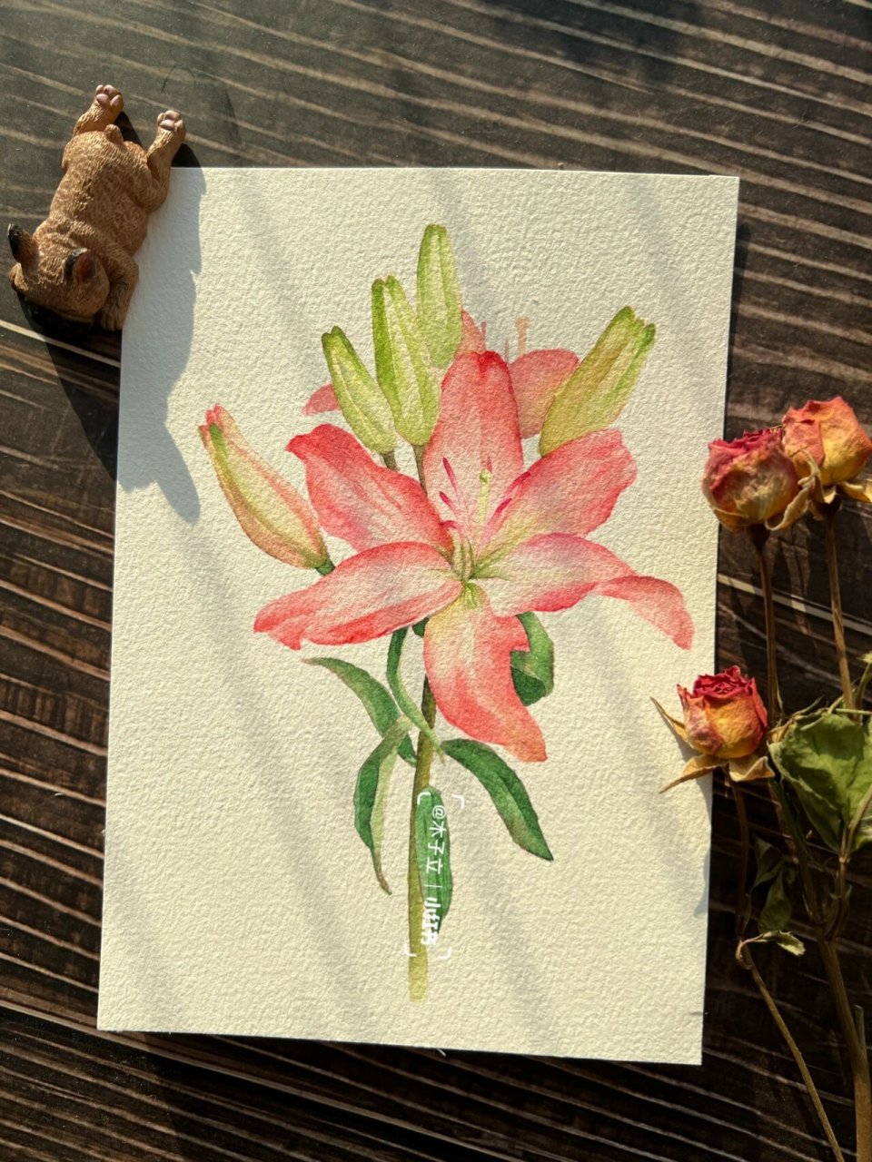 水彩花卉|粉百合上色过程图附线稿