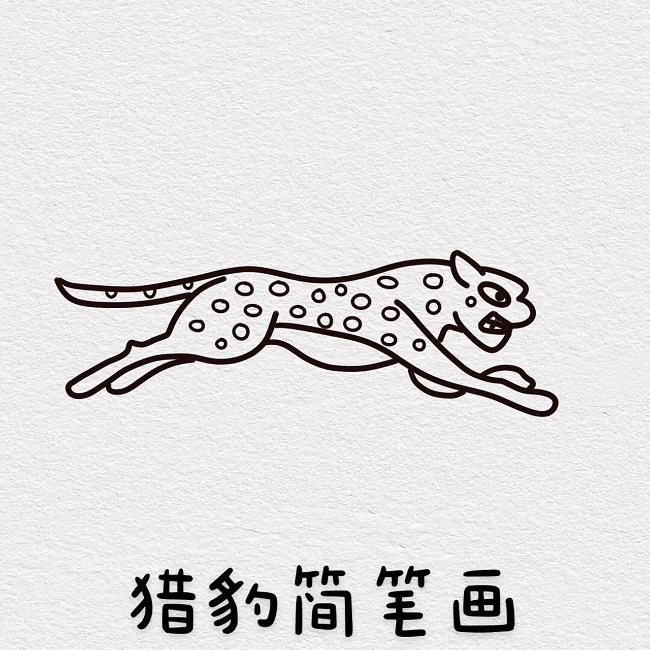 猎豹简笔画 猎豹简笔画