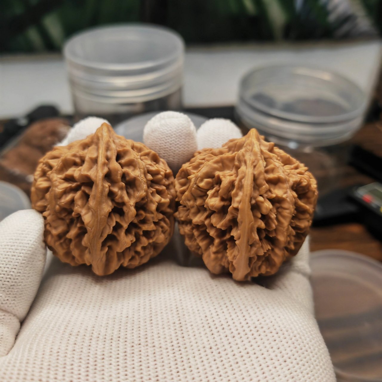 文玩核桃,状元冠 43尺状元冠,福利价格