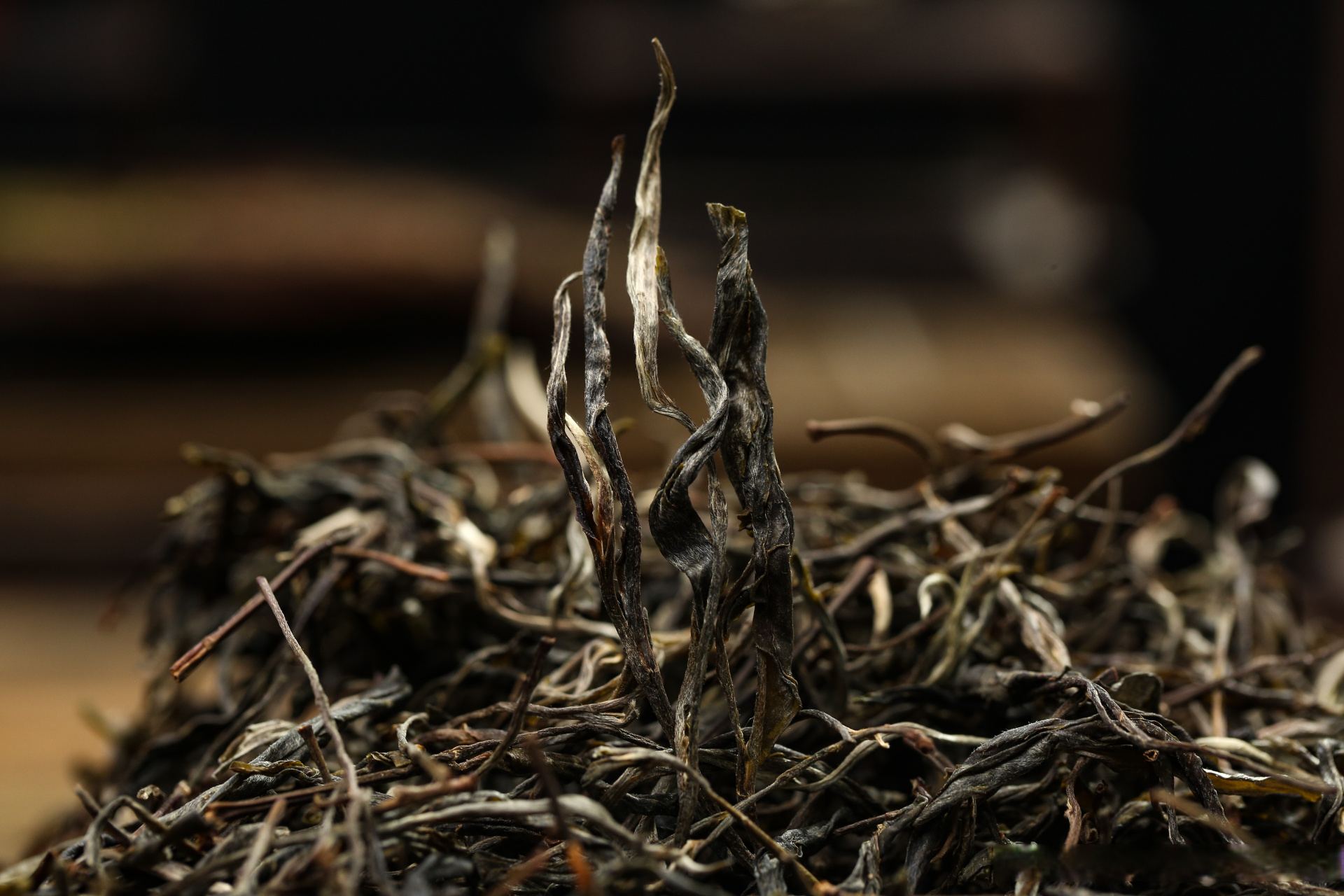 无墨记大原料仓生茶2023年蟒蛇箐入库 蟒蛇箐,"普洱茶隐士",深藏原始