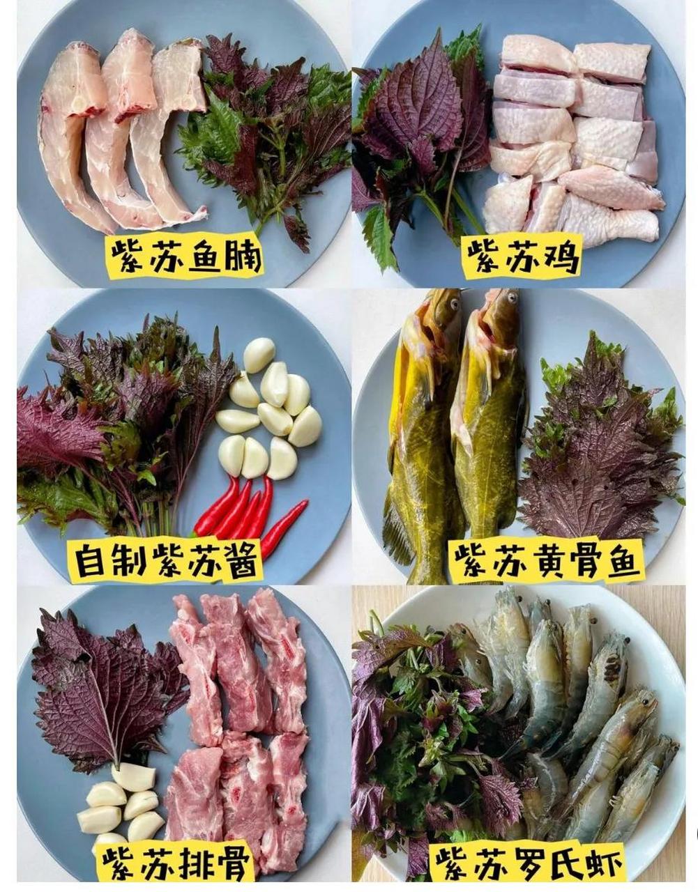 紫苏,一种非常好的天然香料  紫苏(学名:perilla frutescens),又名