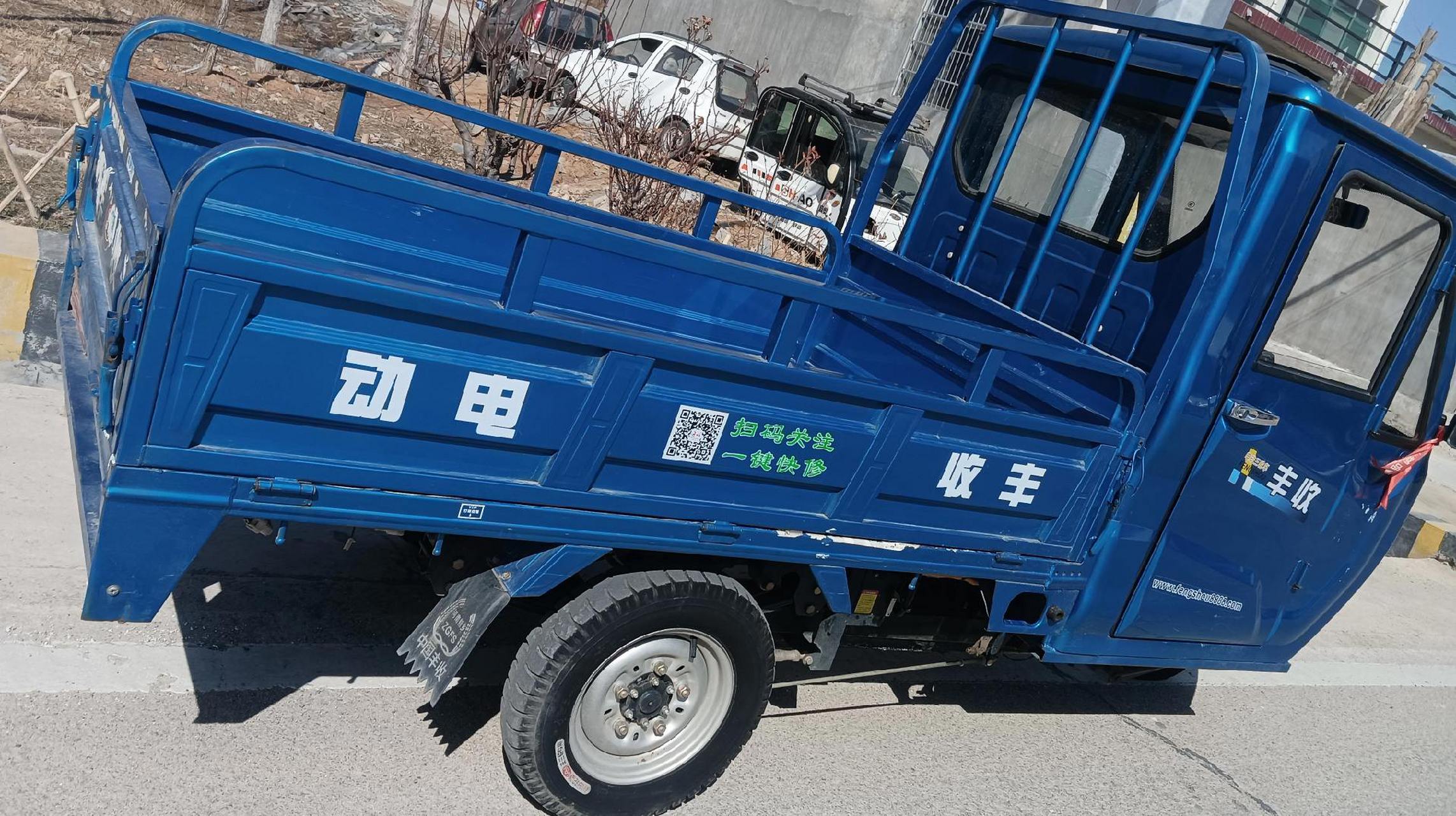 21年丰收大电动三轮车,5块100电池