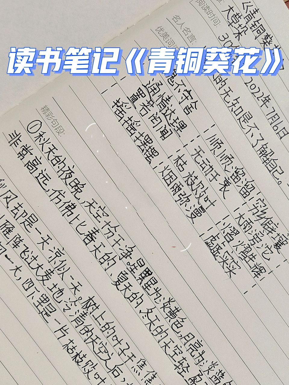 读书笔记《青铜葵花》