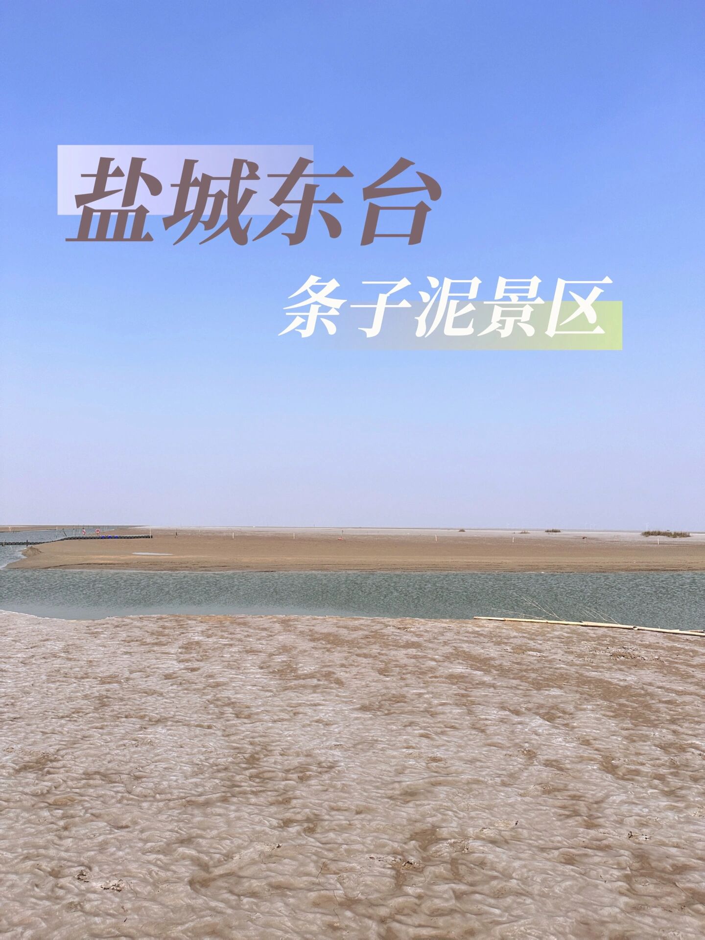 盐城东台条子泥