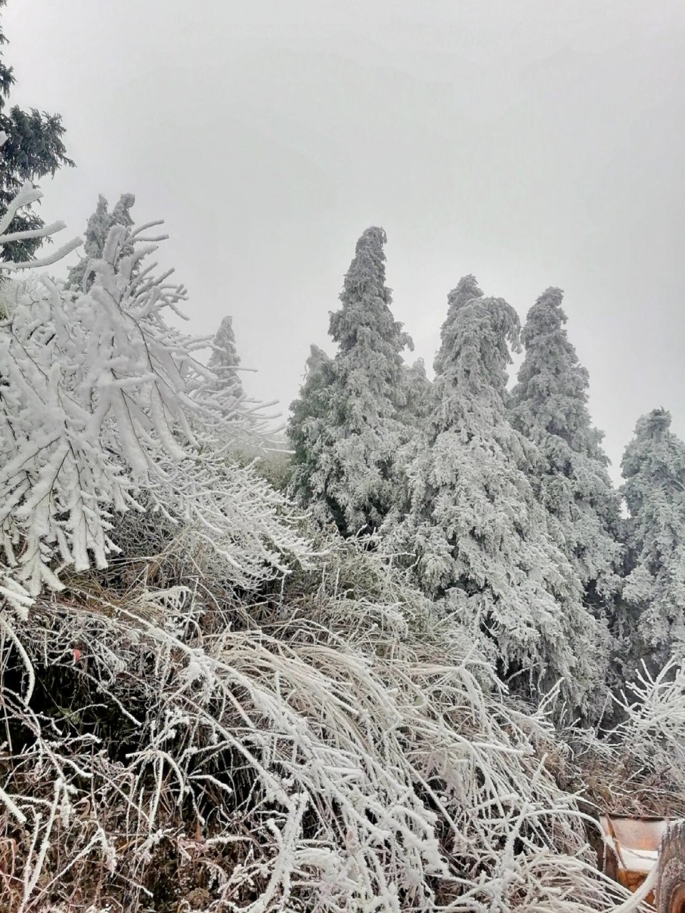 全州天湖雪景图片图片