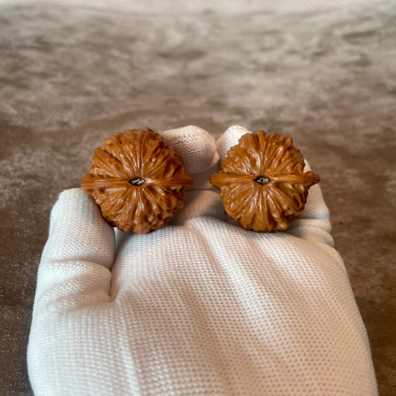 记录-金牛核桃 38*37金牛 2023.5.20开盘 沉甸甸,皮质配对都挺好