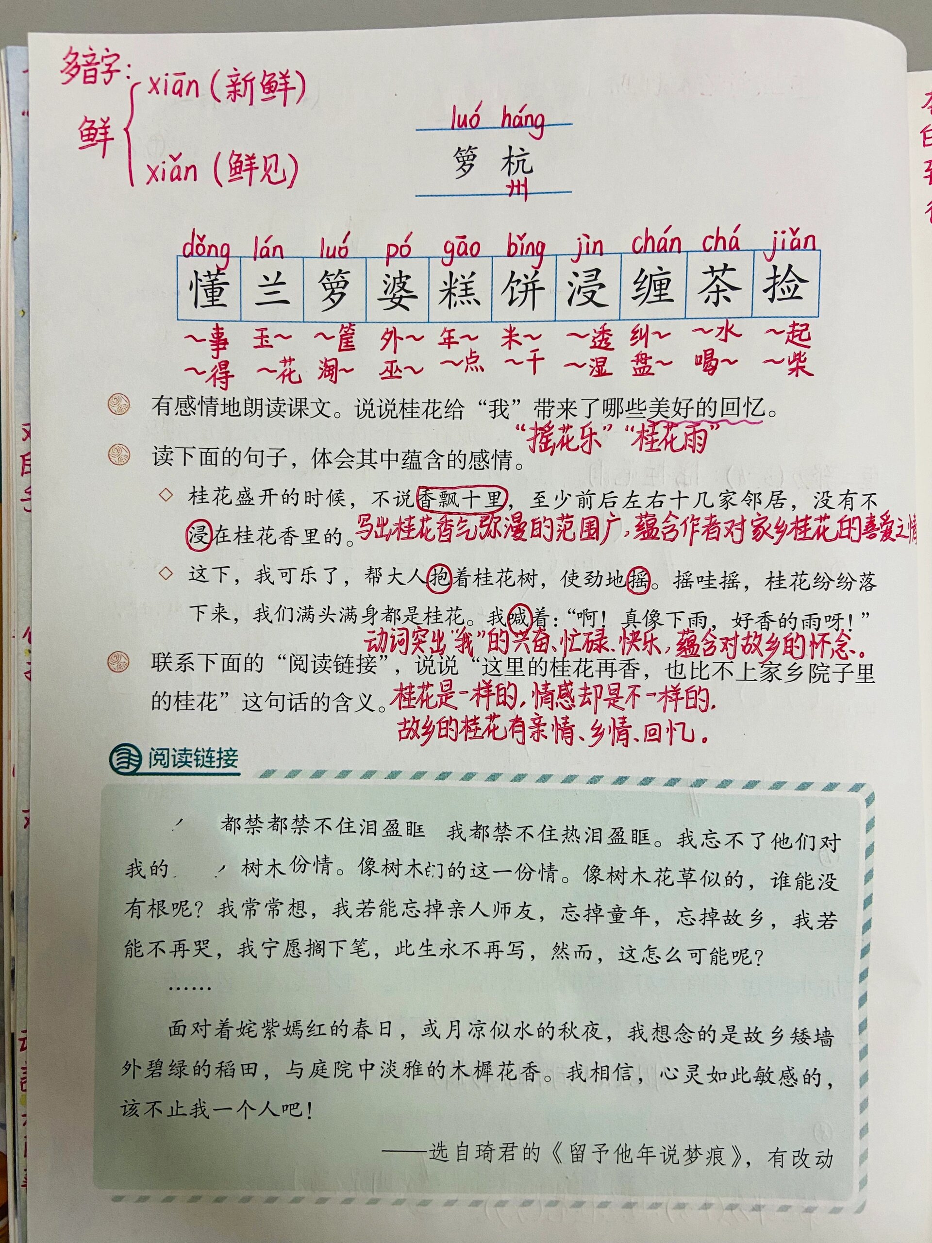 课堂笔记 五年级上册语文 3.桂花雨