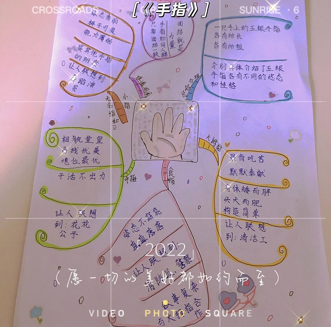 五下《手指》思维导图