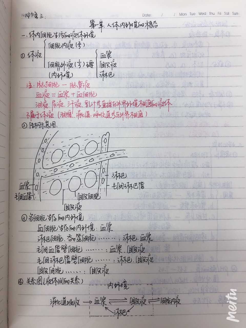 高中生物必修三笔记—人体内环境的稳态