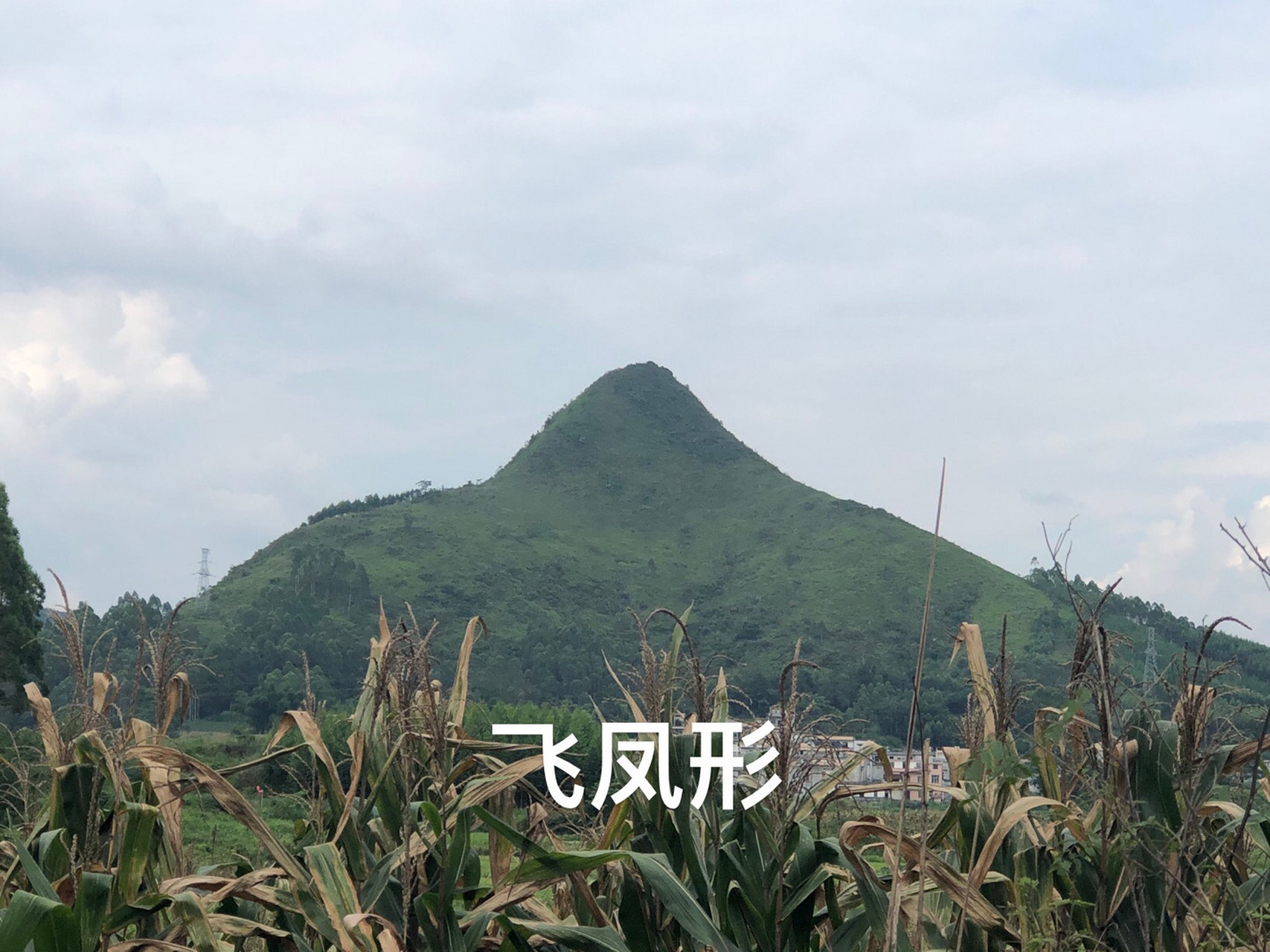 风水大地,莲花山,飞凤冲霄山形各种各样风水宝地图