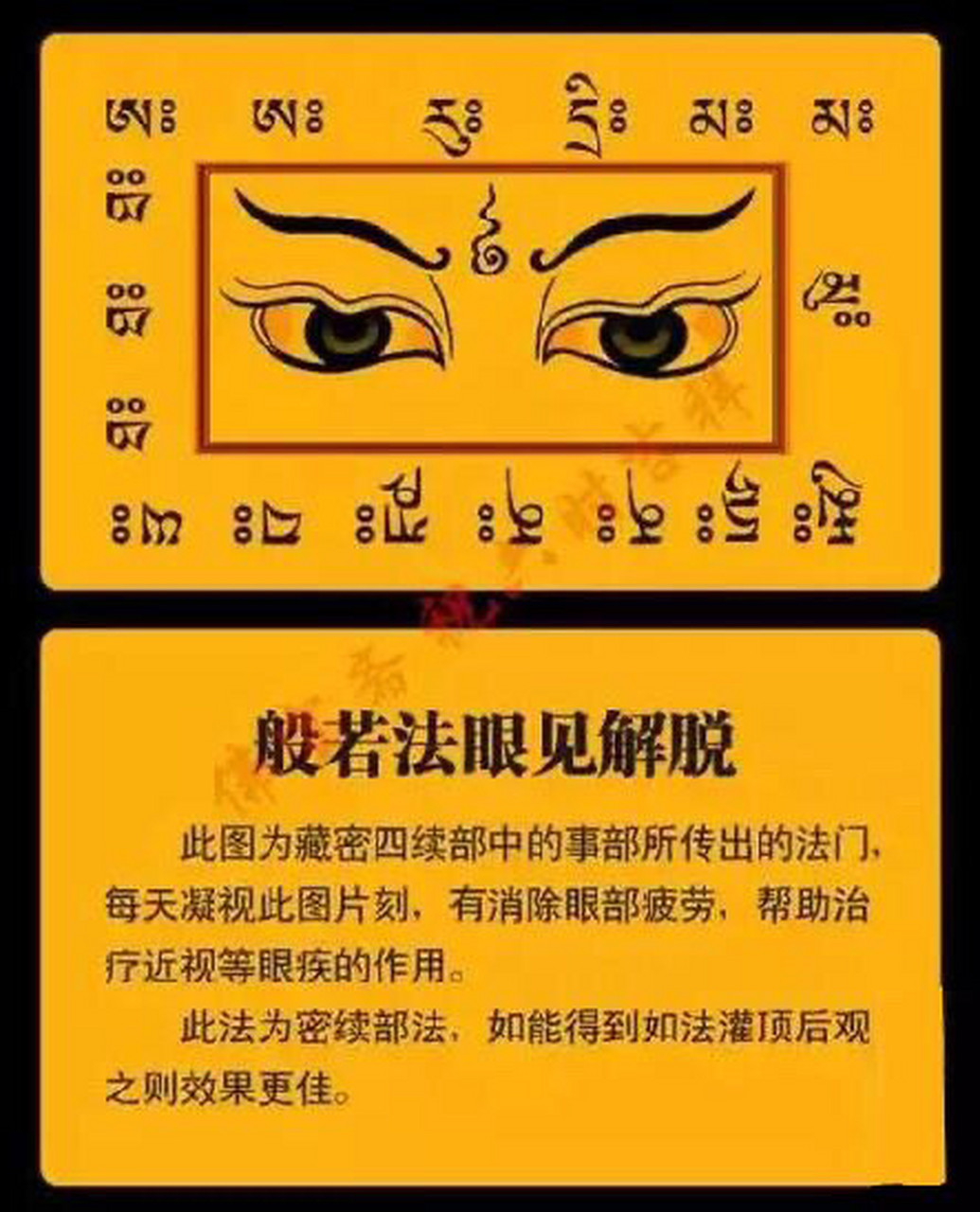 般若法眼见解脱