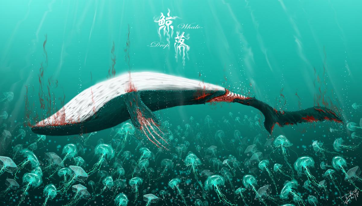 鲸落是指鲸鱼死去后沉入海底的现象