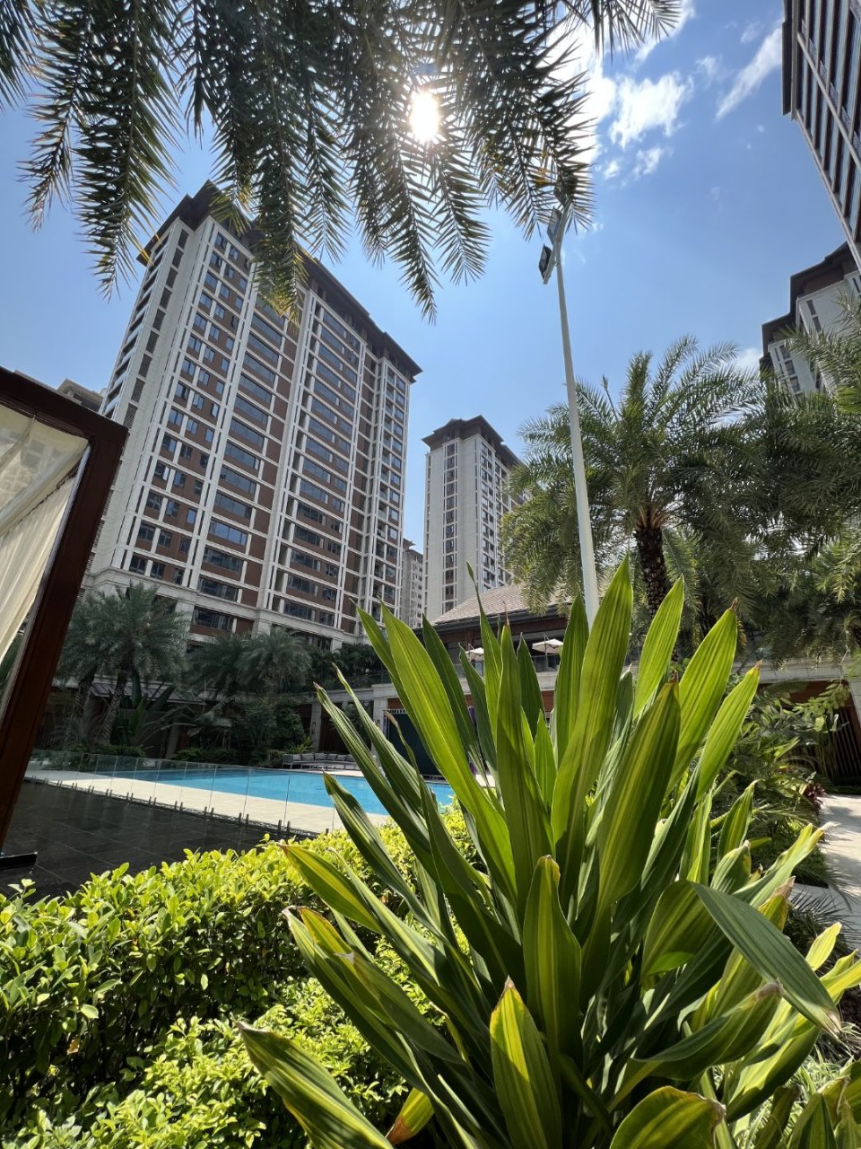 蓝天,白云,泳池,花团…… 在绿城春江明月, 回家就是我们度假的开始!