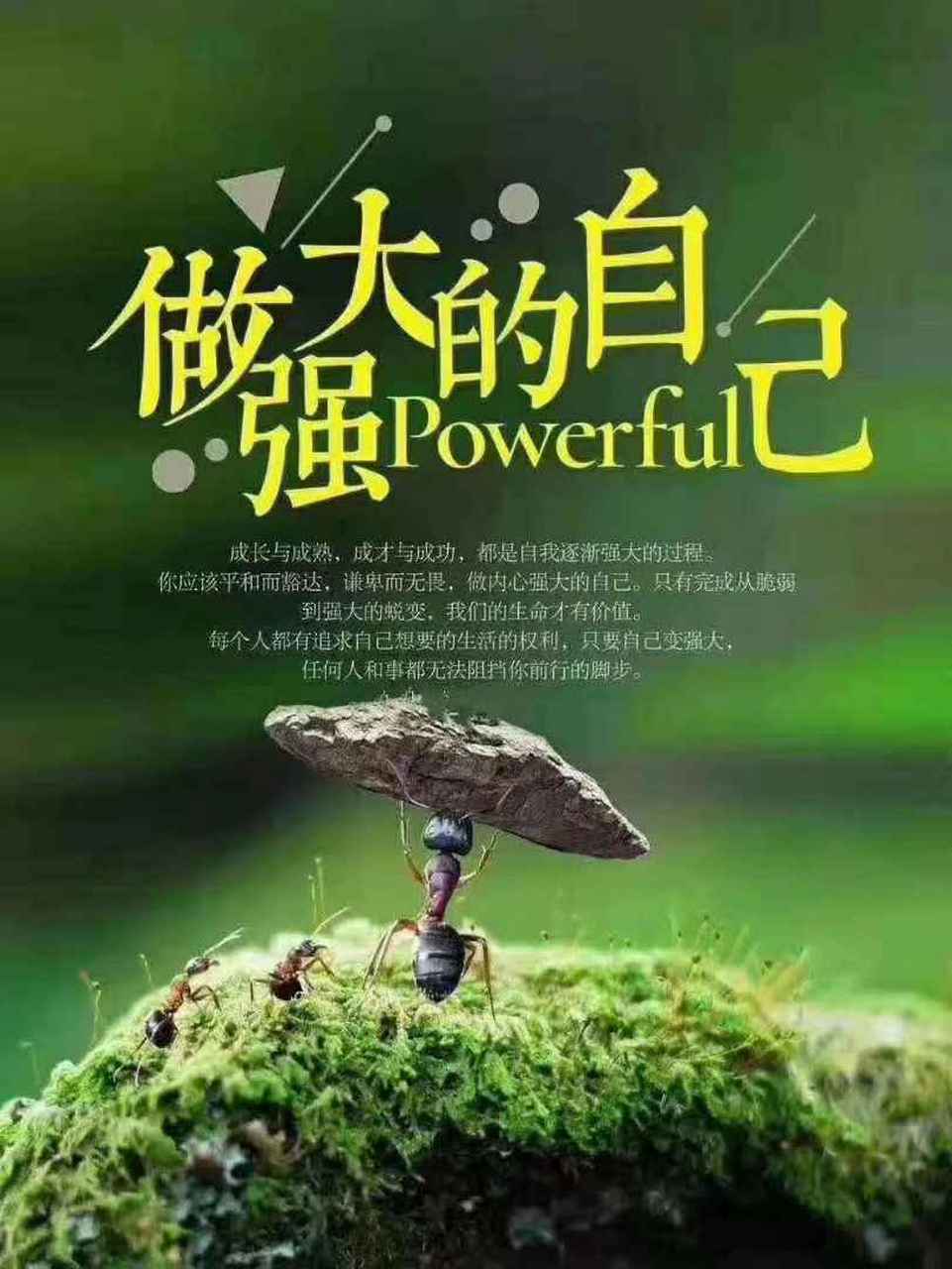 早安[太阳] 主动的人,和命运一起走,被动的人,命运推着你走.