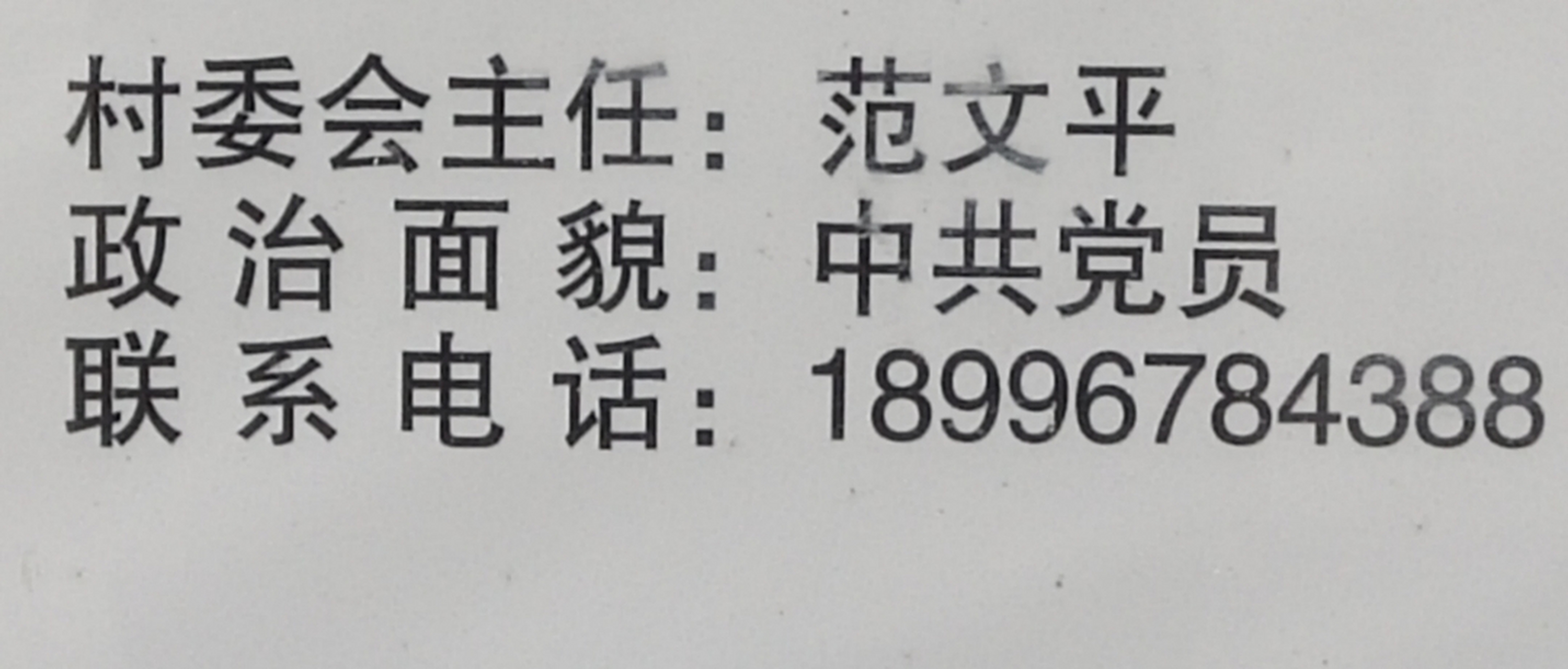 重庆市丰都县保合镇牟家场村村民委员会主任范文平在其任职期间的违纪