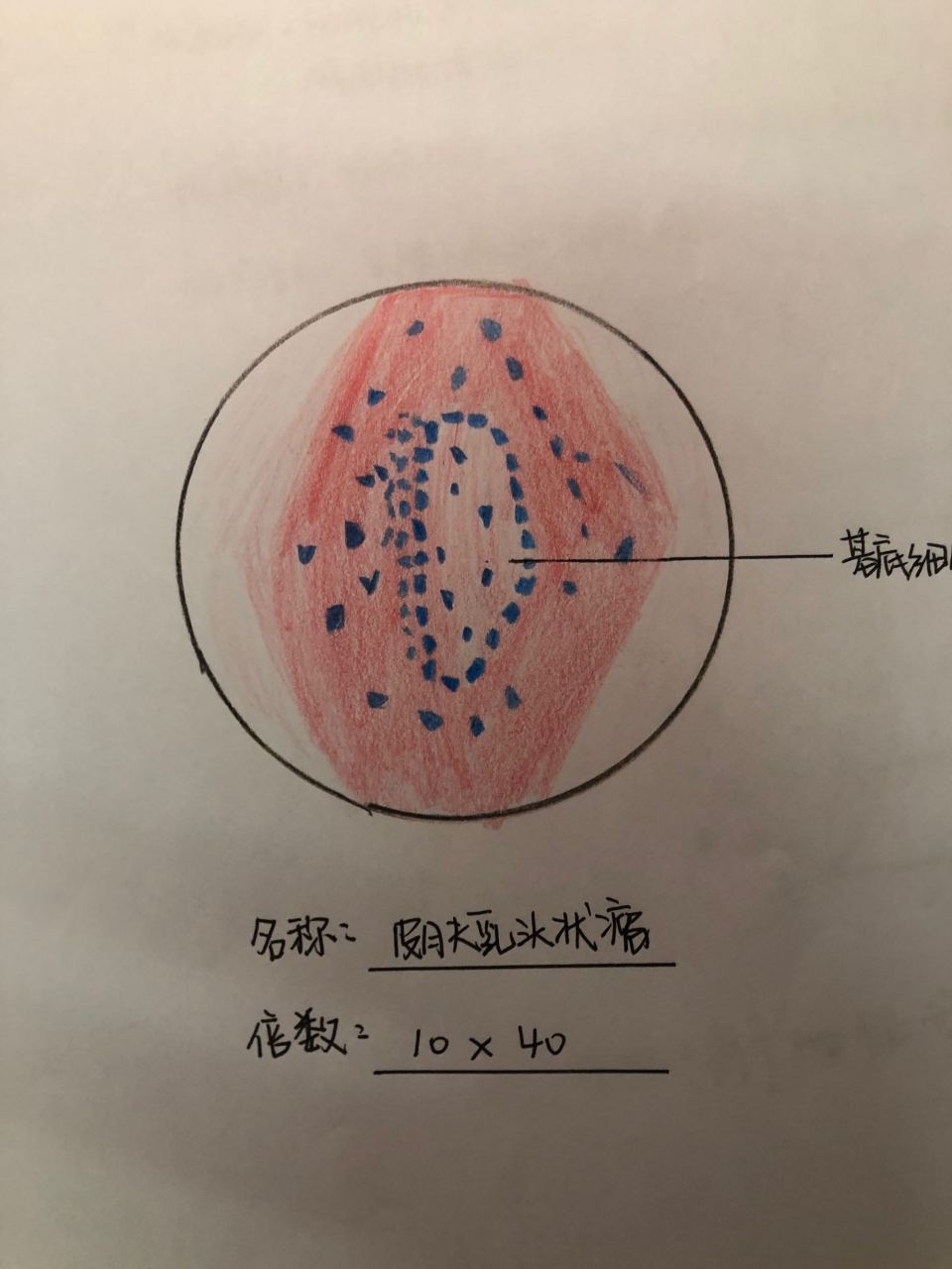 e花环实验手绘图图片