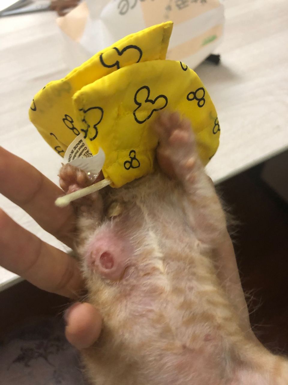 这伤口之前结痂了 今天结的痂掉了 变成了一个洞 但是没有脓之类的 洞