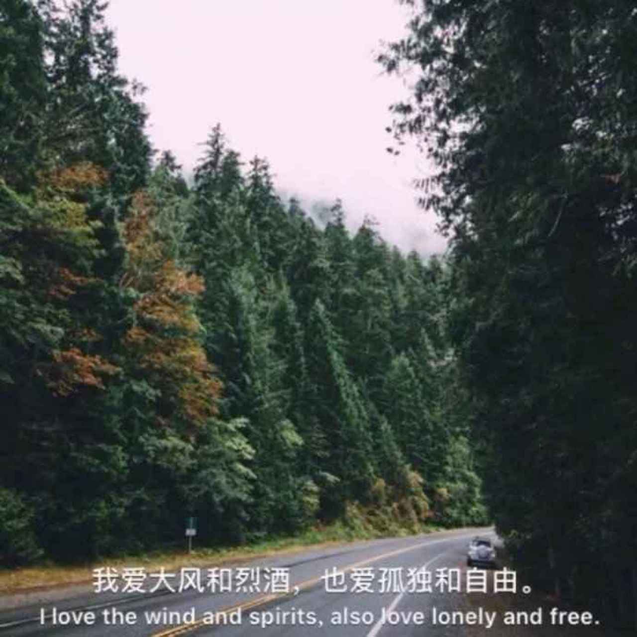 无数个瞬间我都在想你在就好了,结果还是我一个人熬过了所有这些时刻