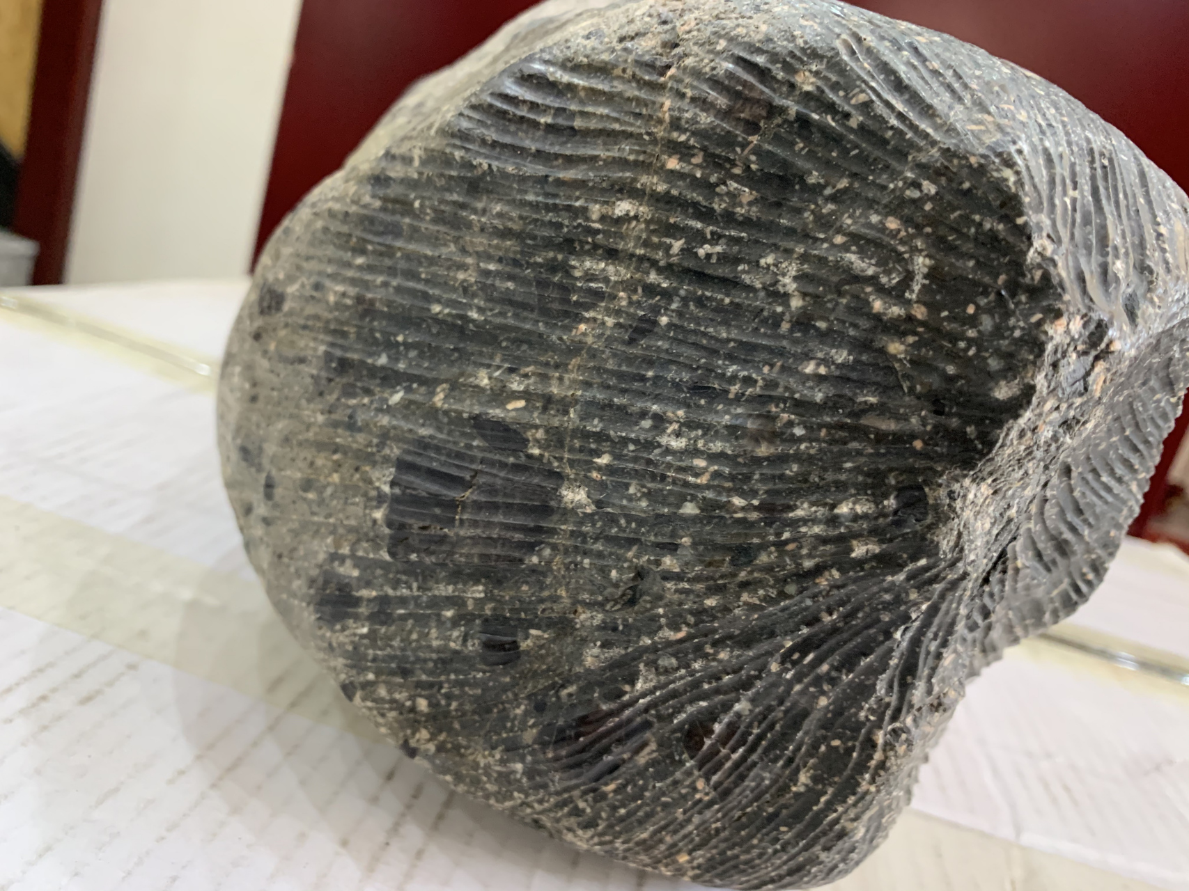 高度定向火星陨石-黑美人  宁夏陨石收藏研究会 银川市定向陨石科技