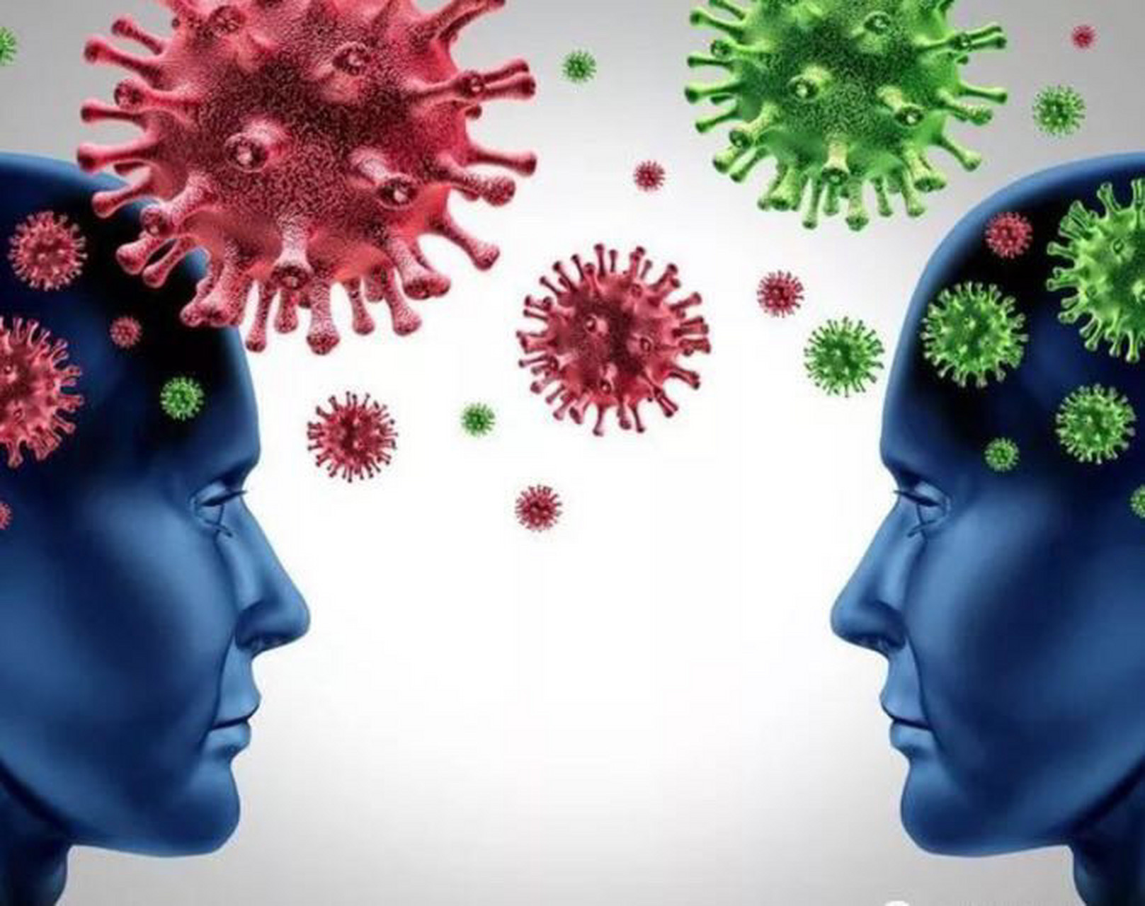 nk细胞又称自然杀伤细胞,是机体重要的免疫细胞,也是人体防御体系的第