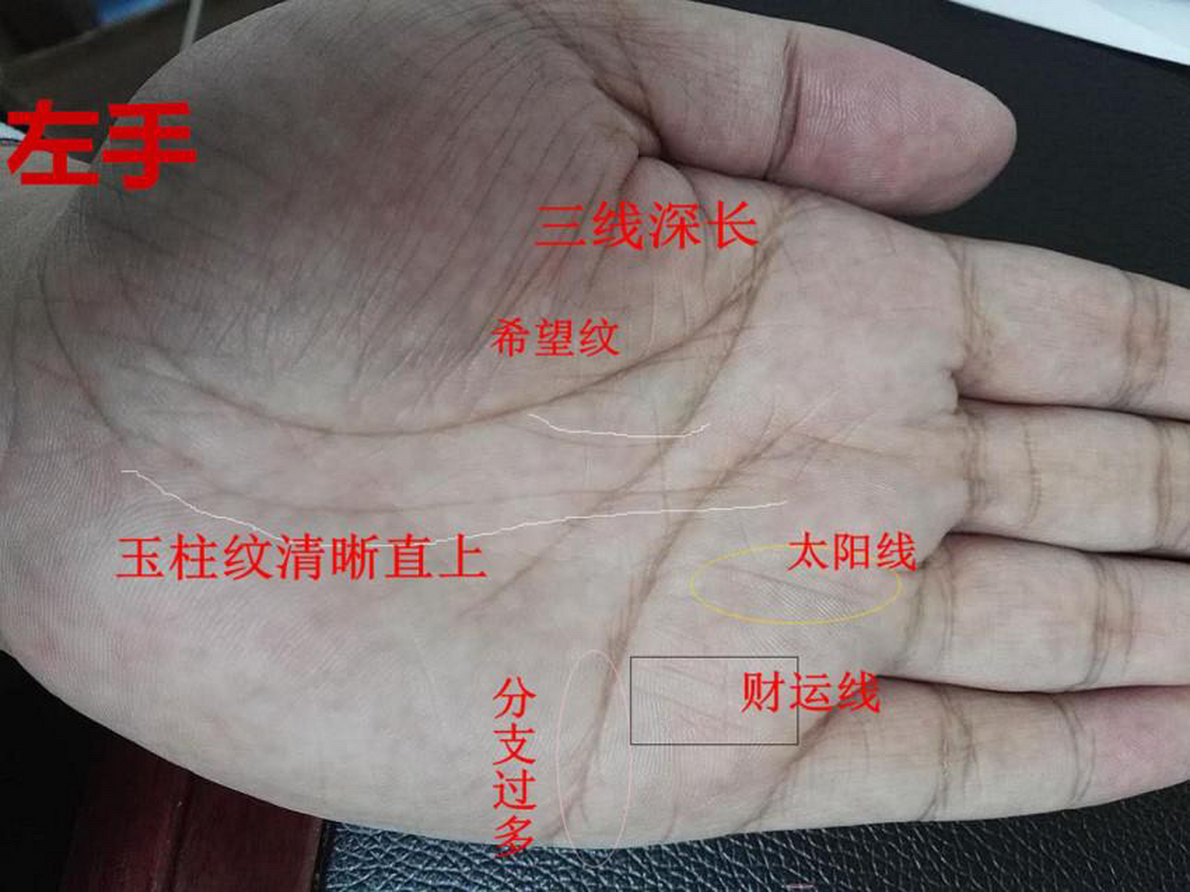 手相中同时出现这三条线,如果比较合规适中,一般事业有成,钱财无忧