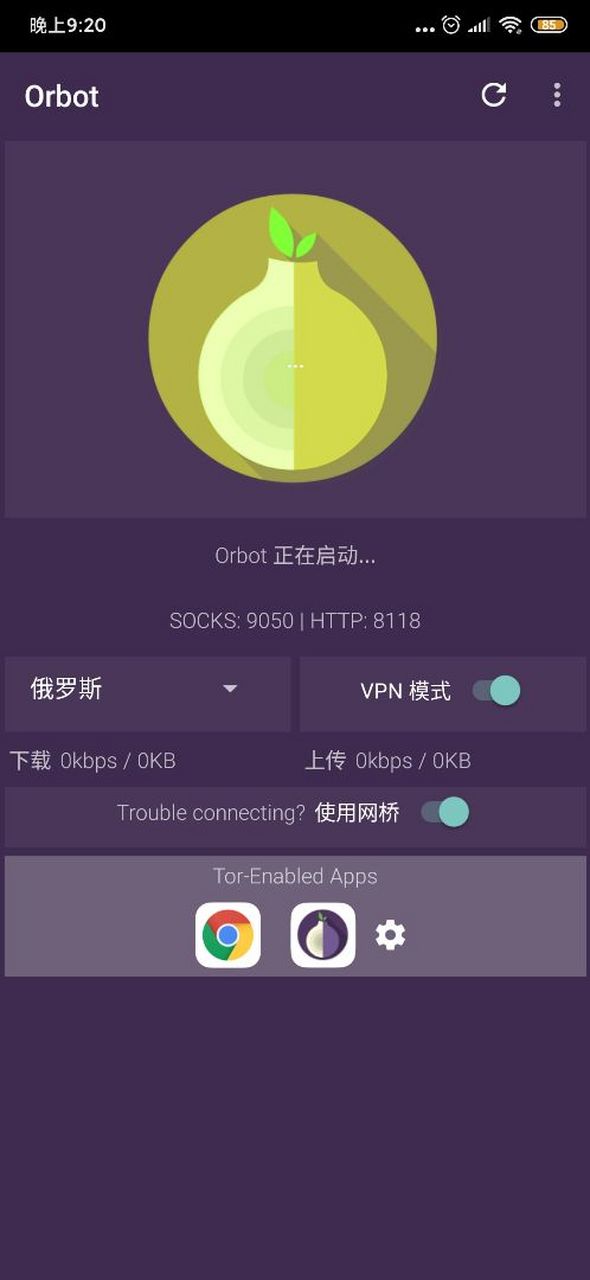 有没有大佬会用洋葱网络和洋葱浏览器?总是链接不成功啊?求教!