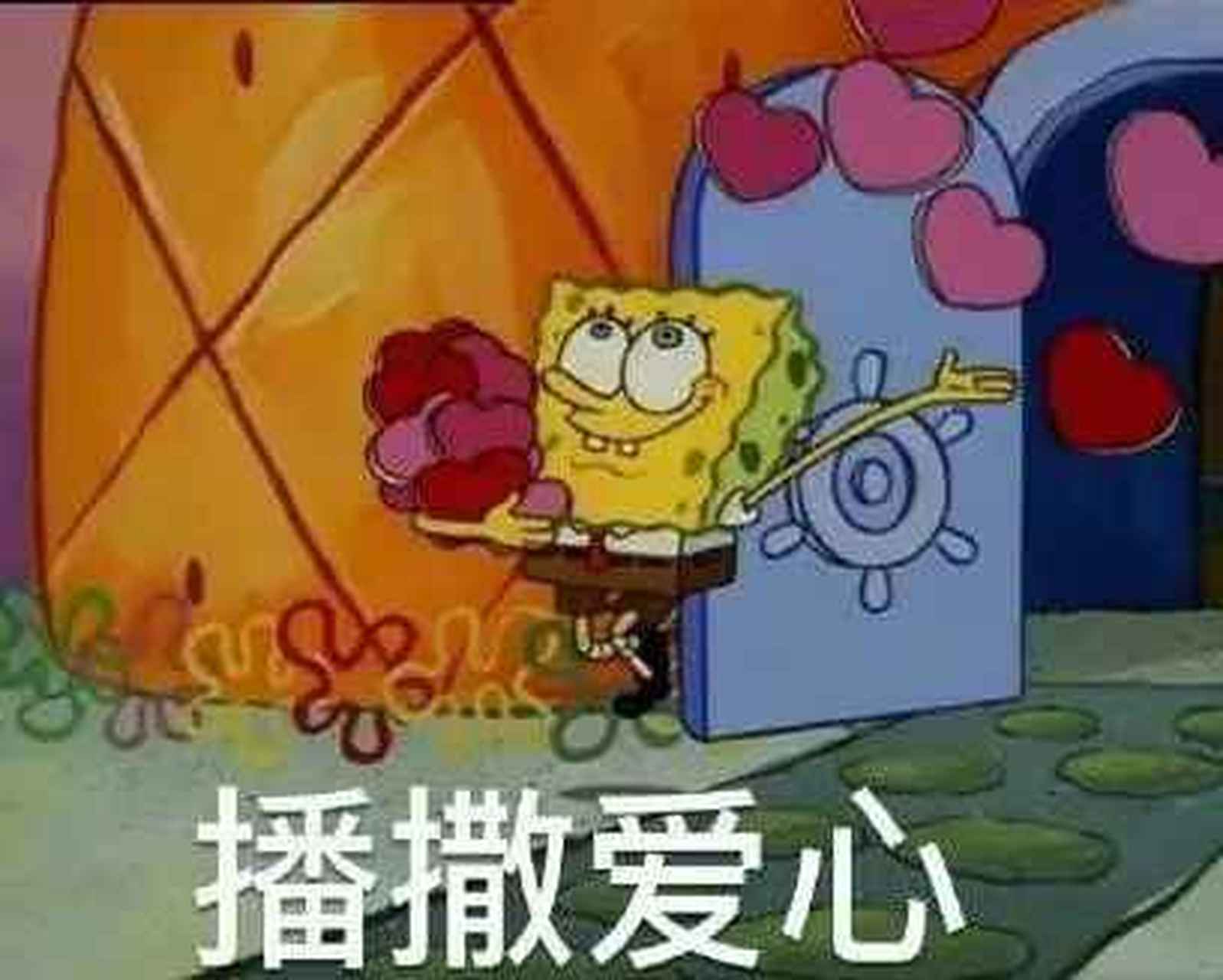 嗨,大家好,早好!