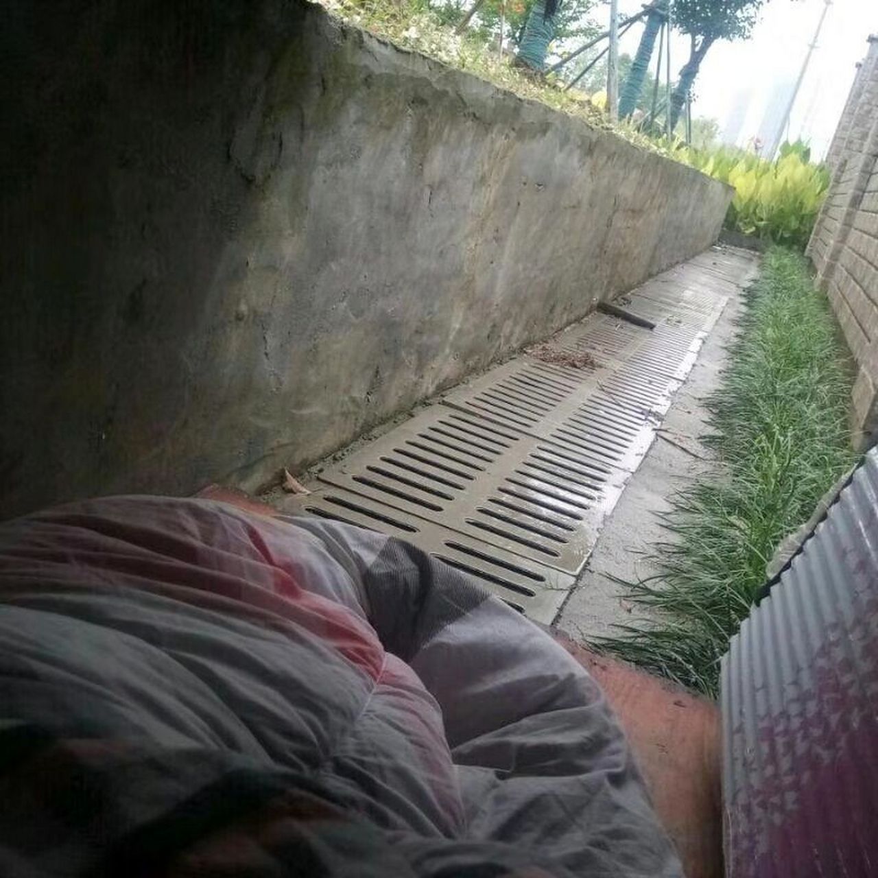 钱不钱无所谓有没有大佬帮忙装个洗洁精机箱[大哈]