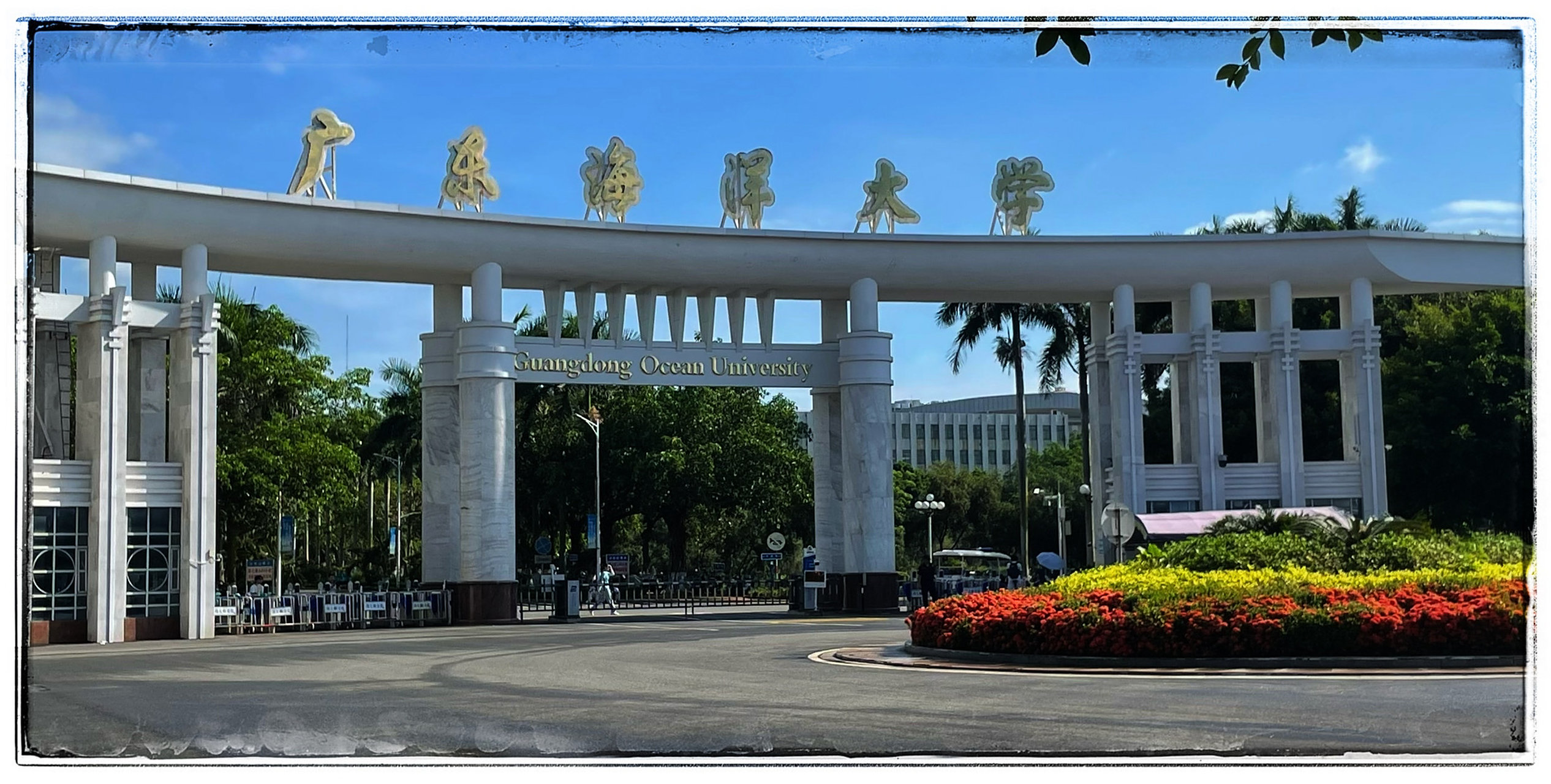 [舔屏]广东海洋大学新生咨询!  新生录取结果基本都出啦!