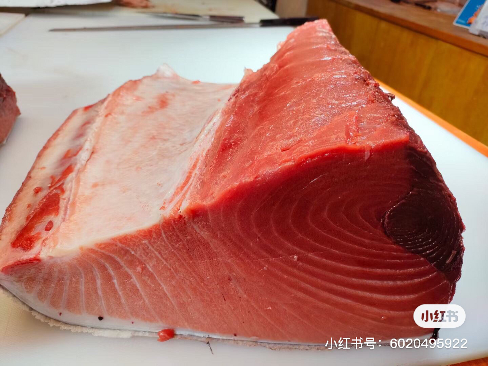 现开的蓝鳍金枪鱼很难不爱"刺身 大腹 中腹 赤身 鱼头鱼骨鱼