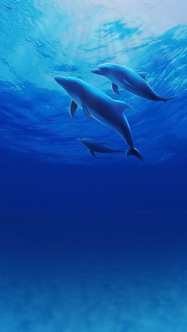 征婚 男,90年,身高168,彝族 四川西昌人,最向往的是带着另一半游遍