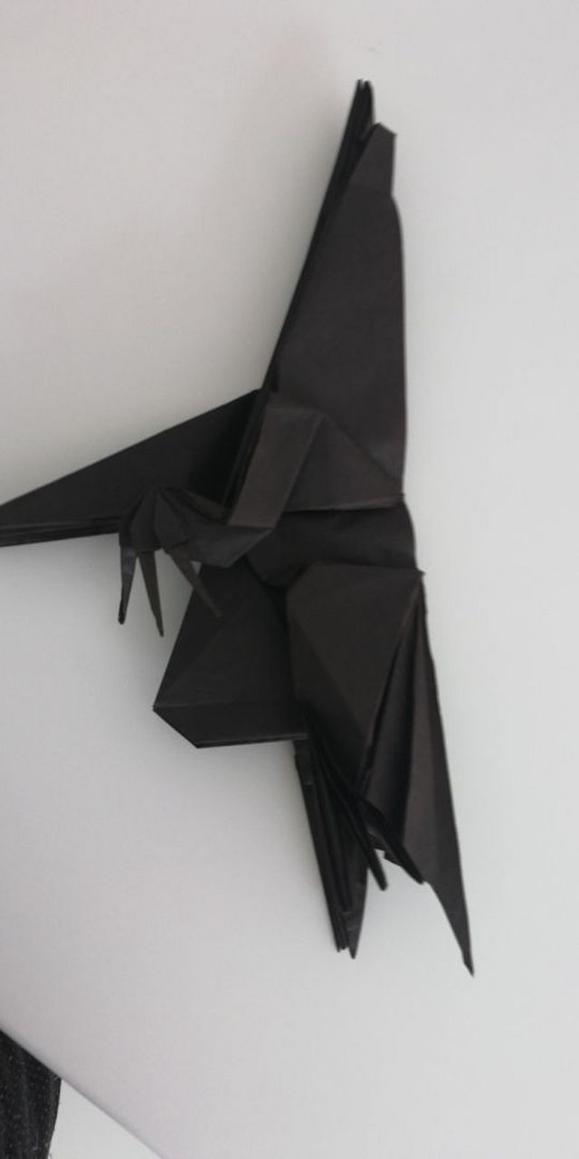 折纸镰刀龙一丁点实拍过程.