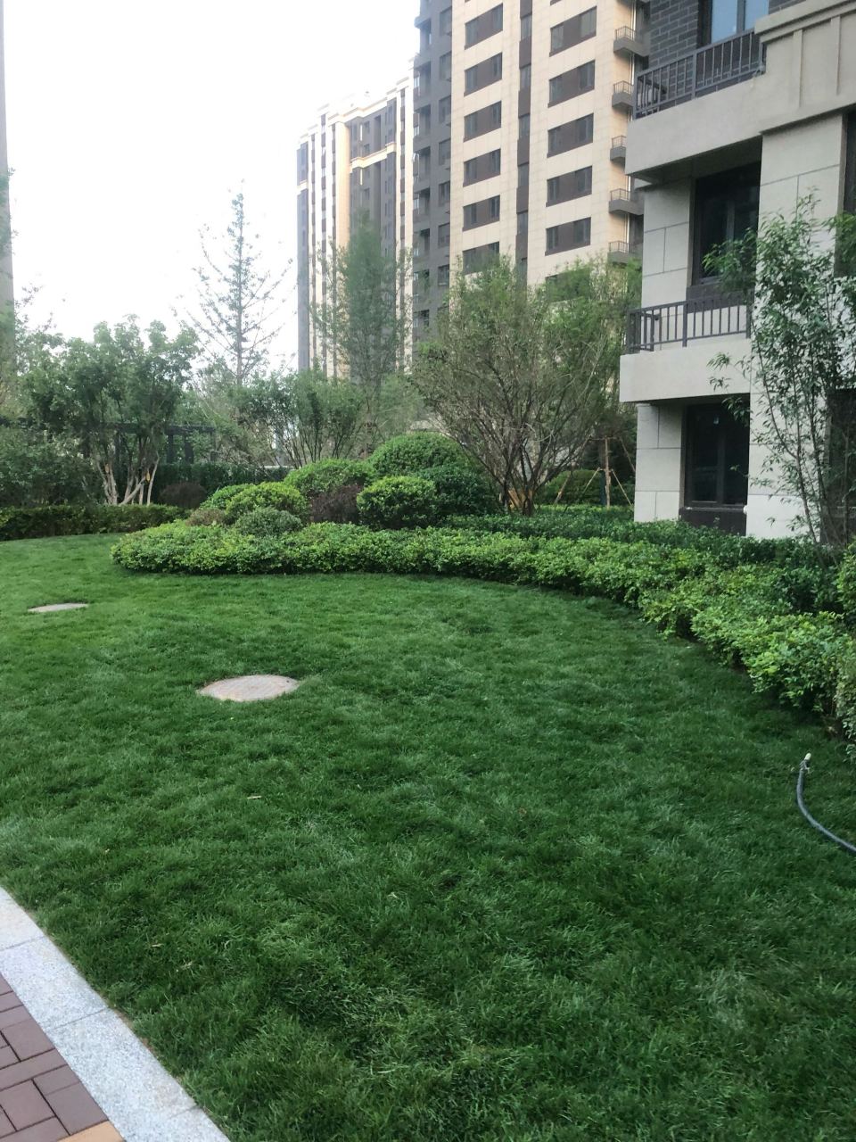 雨后的南湖橡树湾