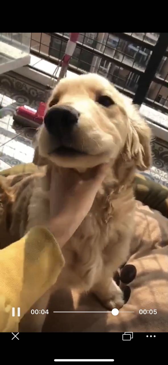 有人要没,地址尉氏县