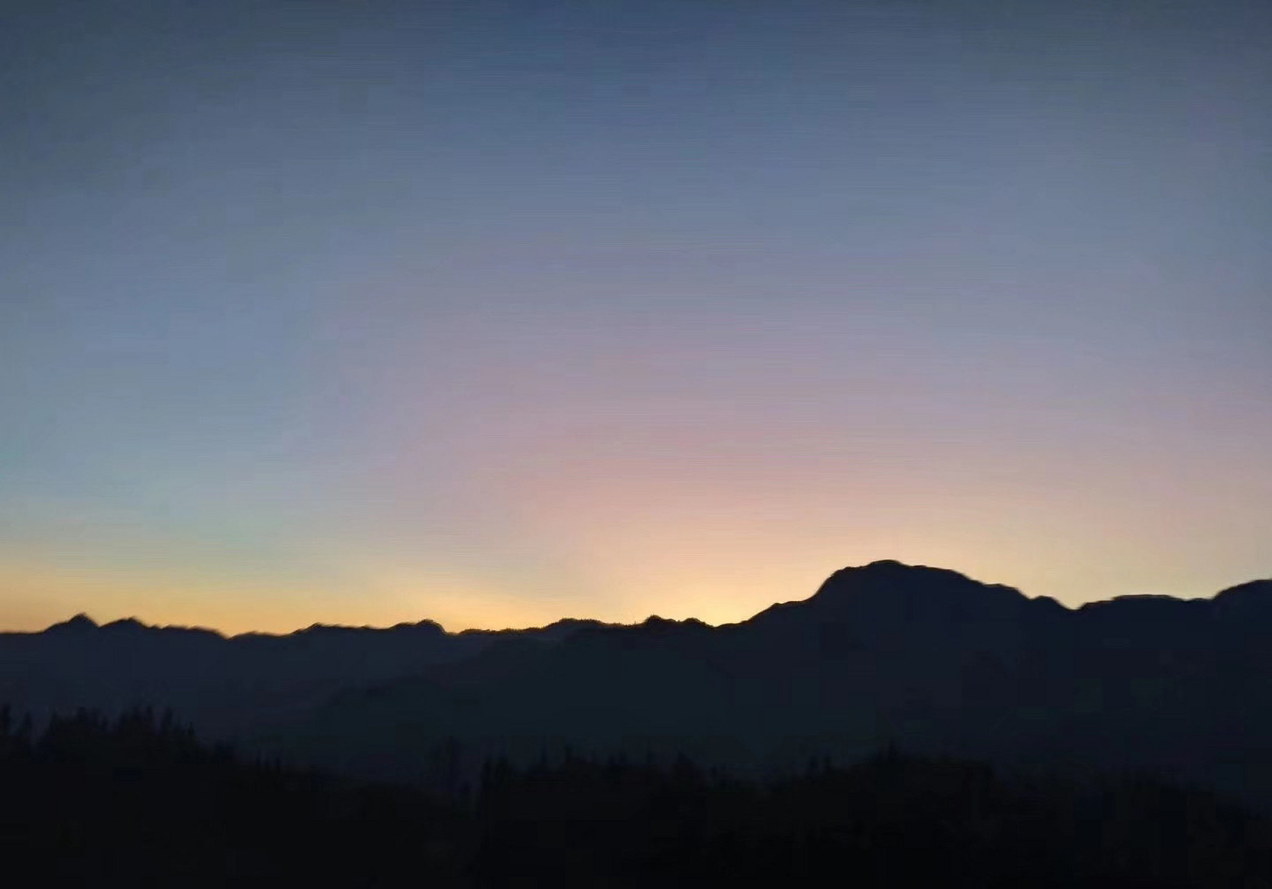 董卿:生命的催人泪下,不仅仅是指生命的坎坷,更多的也是指生命的壮阔.