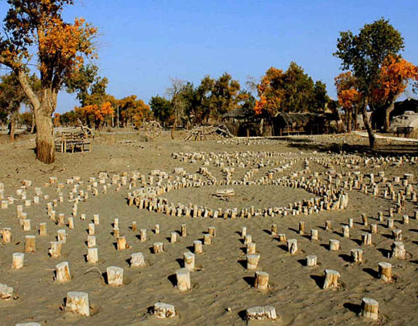 楼兰古国之太阳墓 太阳墓位于孔雀河古河道北岸.