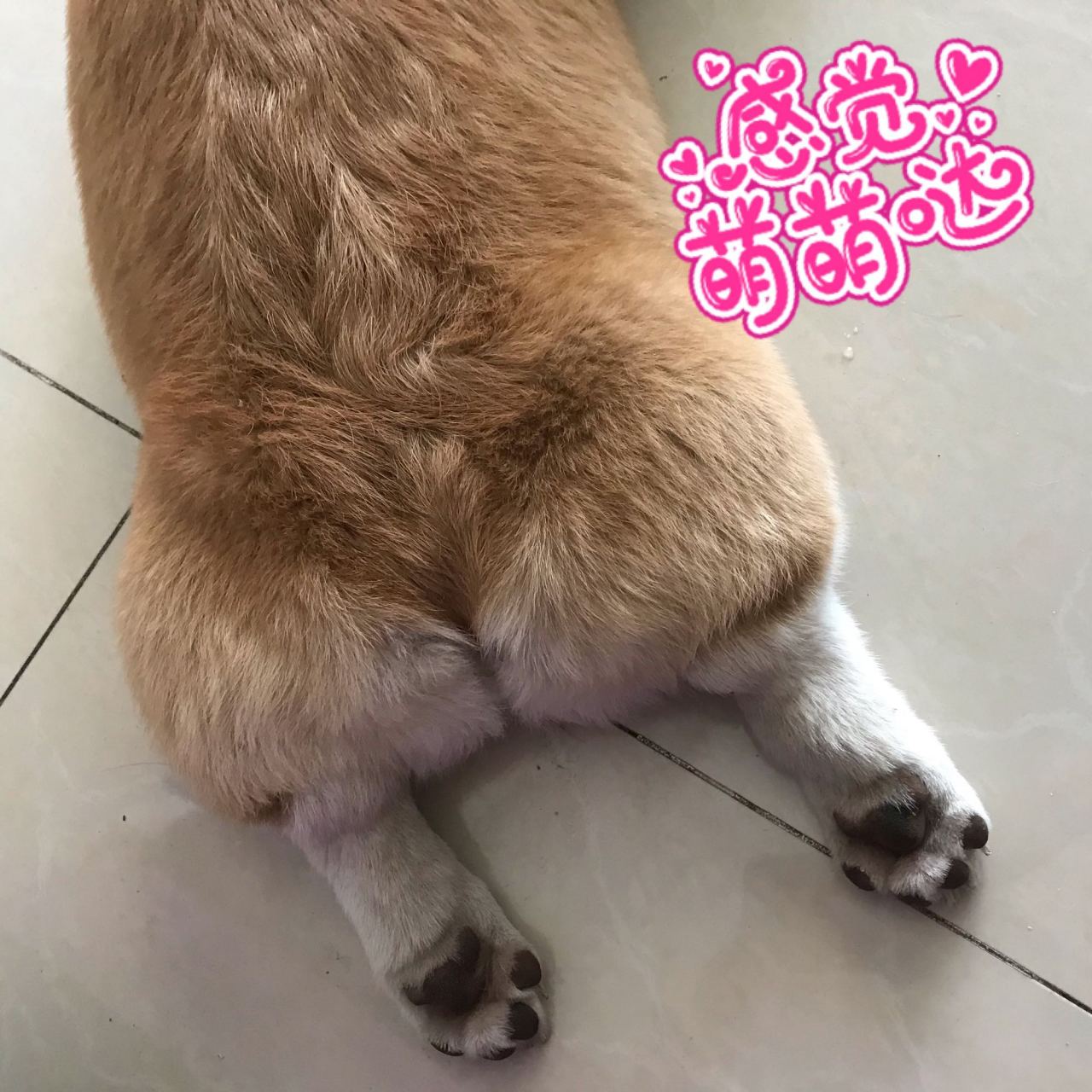 摸一摸三百多#(笑眼)