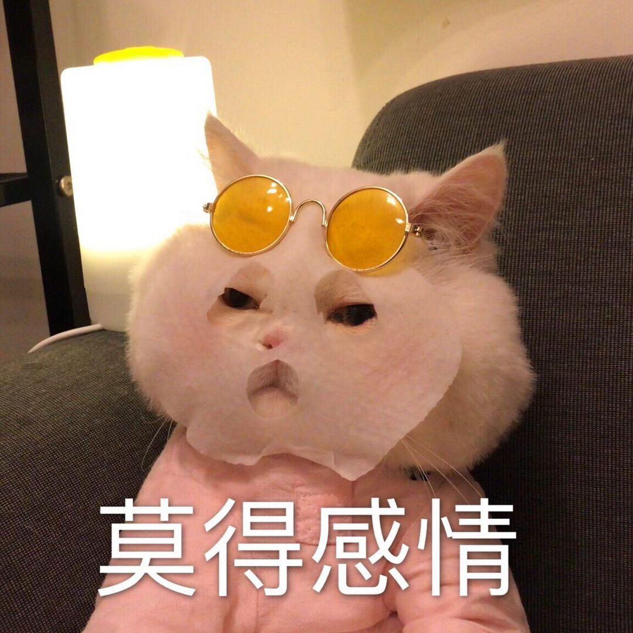 请问 谁有这个表情包的原图 不带文字的那种!跪求!