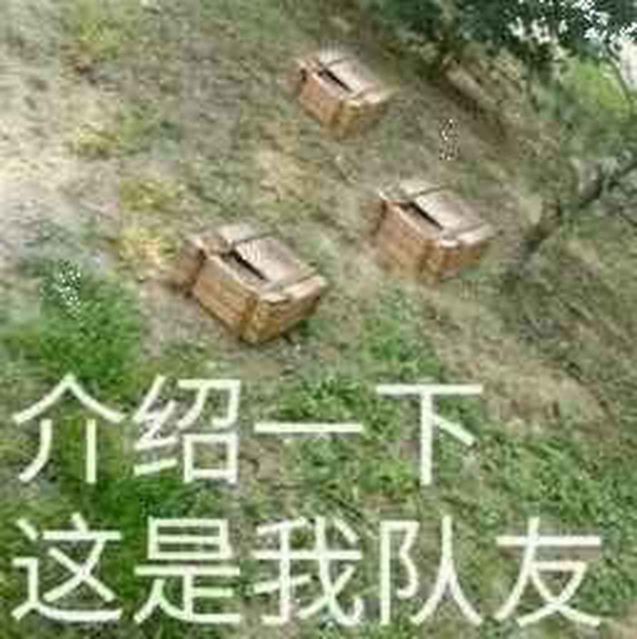 我好菜啊,每次我都死在冲锋的路上#(泪)