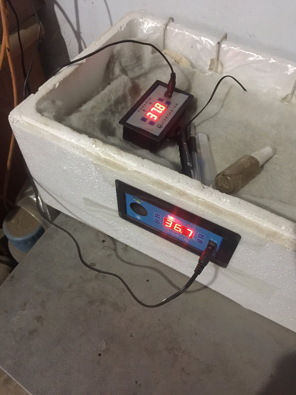 我的水床孵化显示36.8度,蛋表面温度是37.