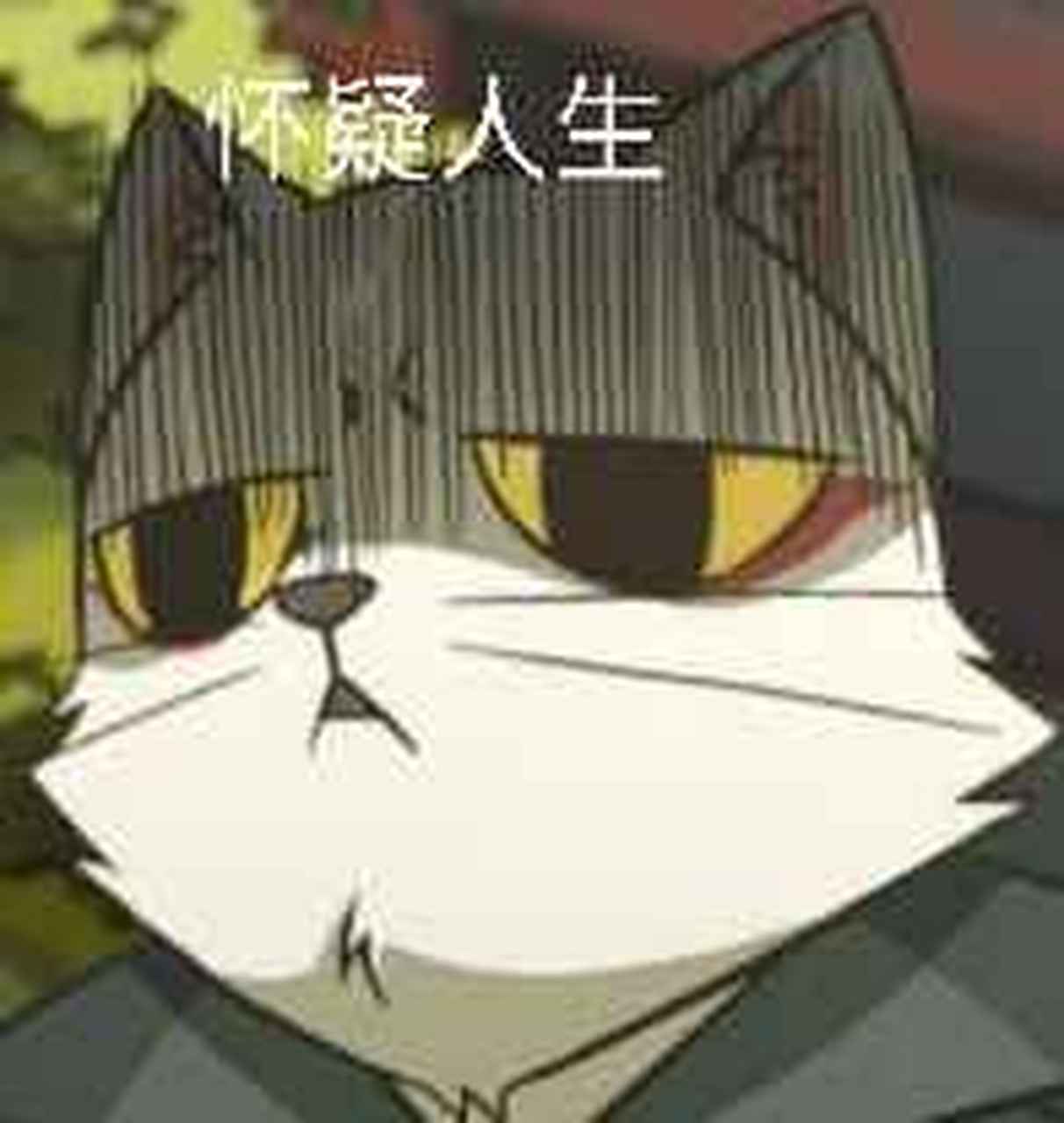 猫爷表情包(你懂的)