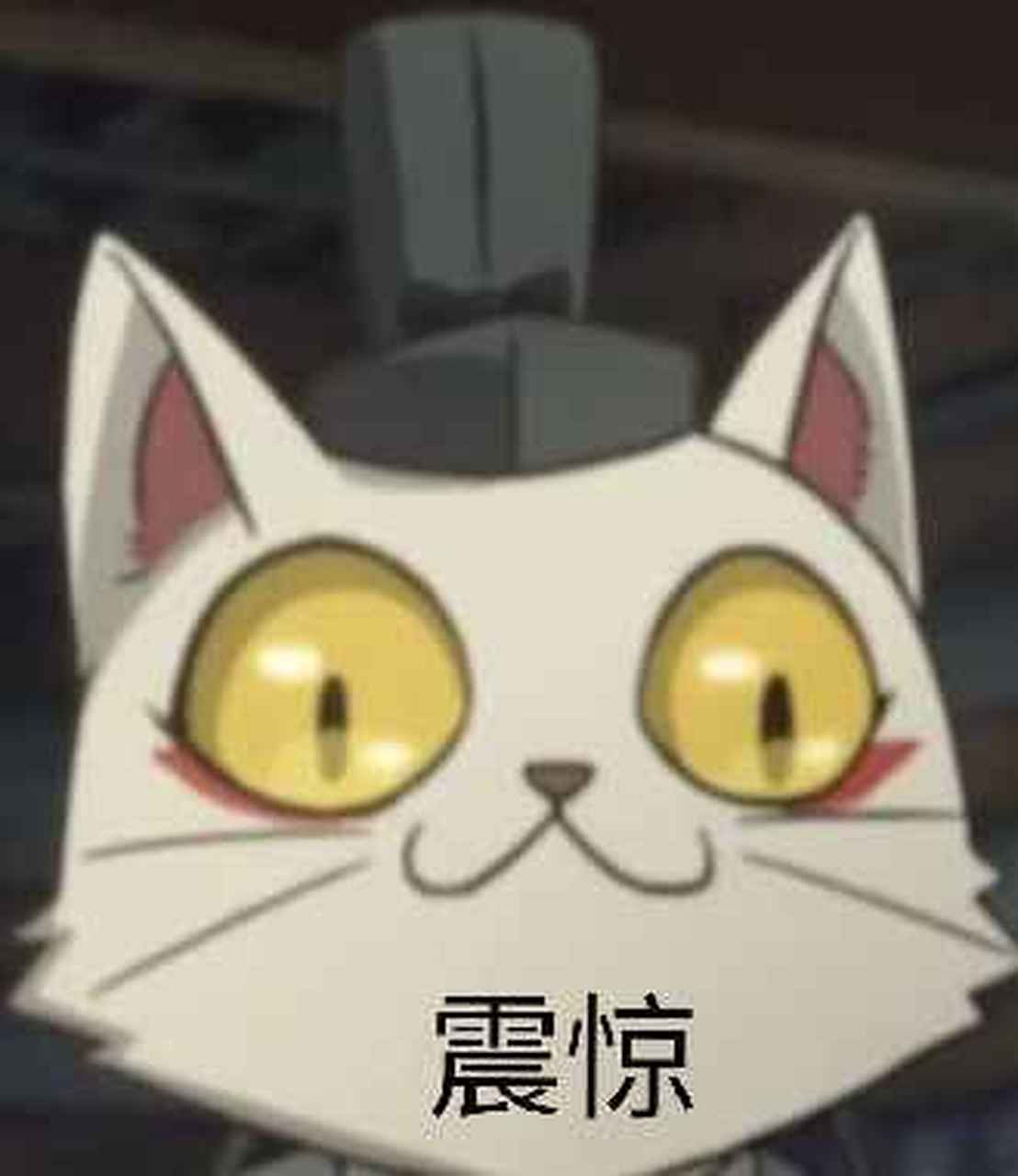 猫爷表情包第二弹#大理寺日志