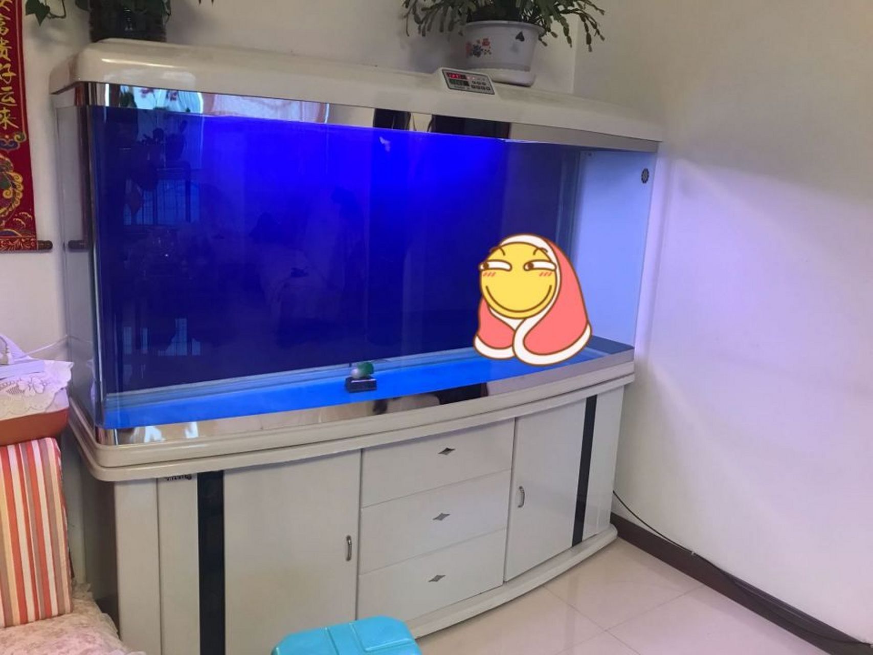 我的是1200海霸鱼缸1200*45*1000,时间久了,会不会爆缸!