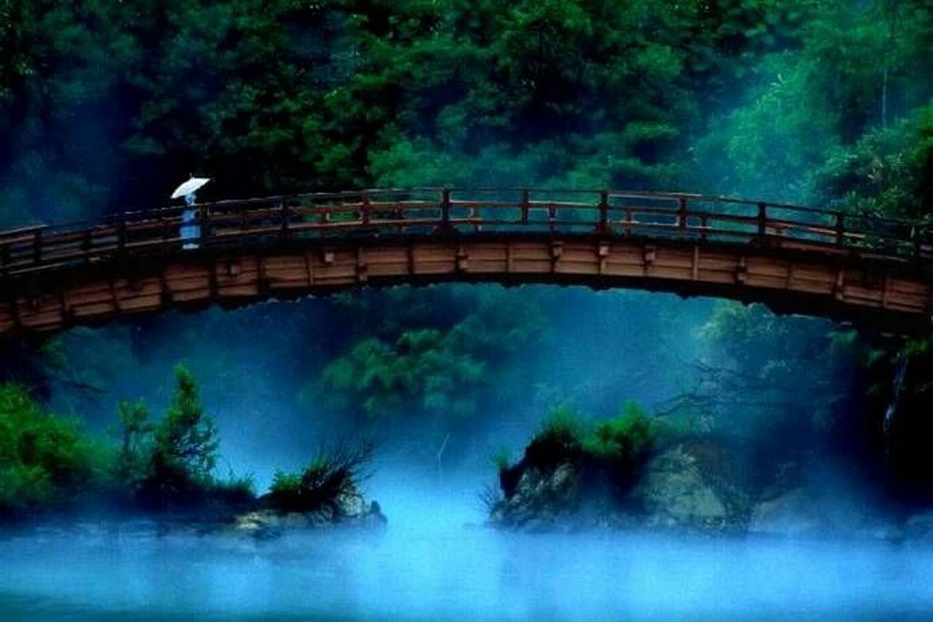 我可以在奈何桥下忍受千年的苦,看你一世一世走过这奈何桥,一次一次喝